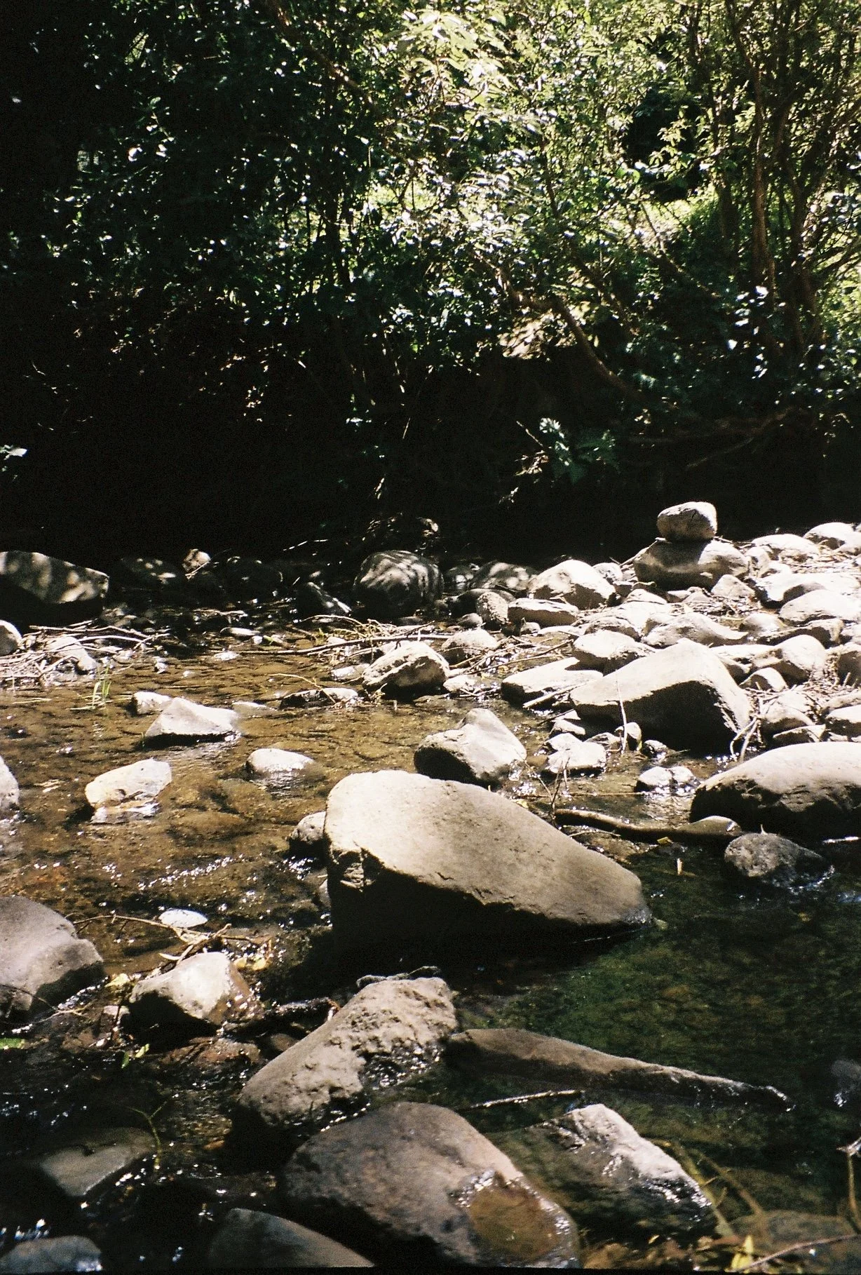 a040103-r1-07-29.jpg