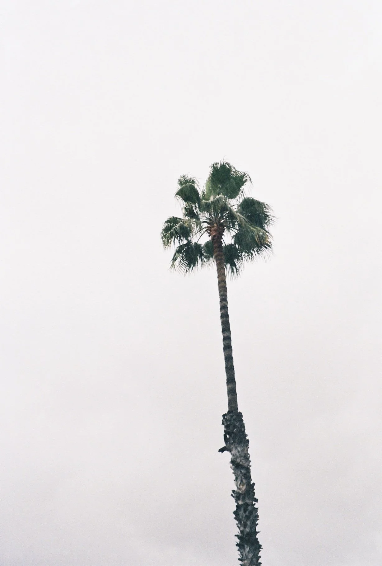 West Hollywood.
May, 2024.