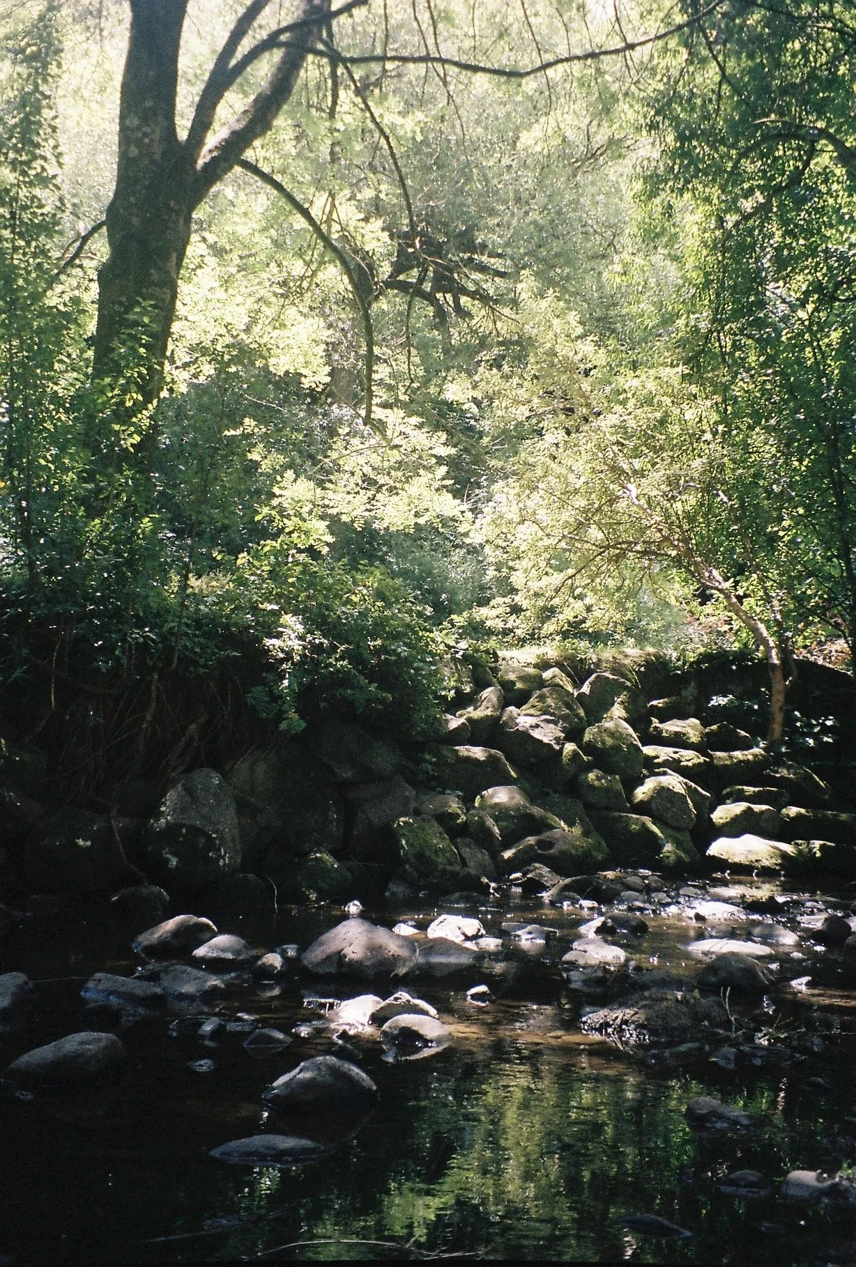 DOWN BY THE RIVER