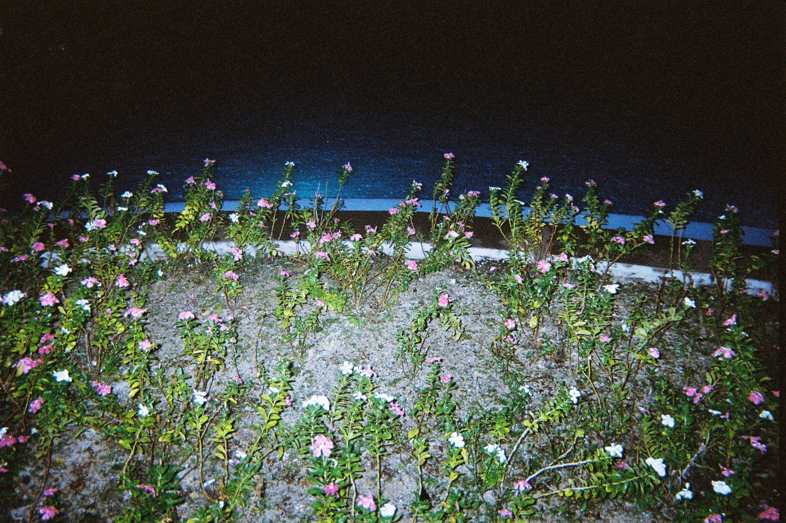 000040.JPG