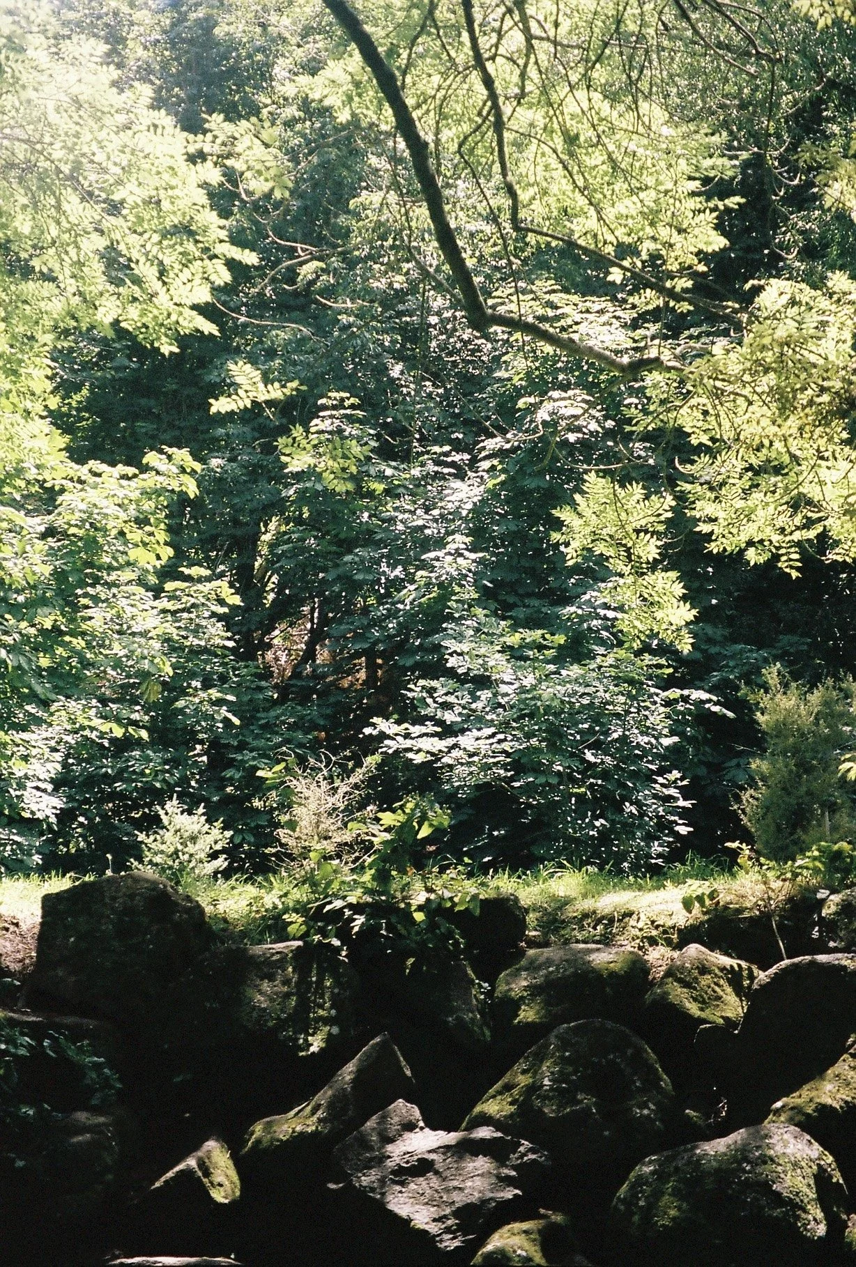 a040103-r1-03-33.jpg