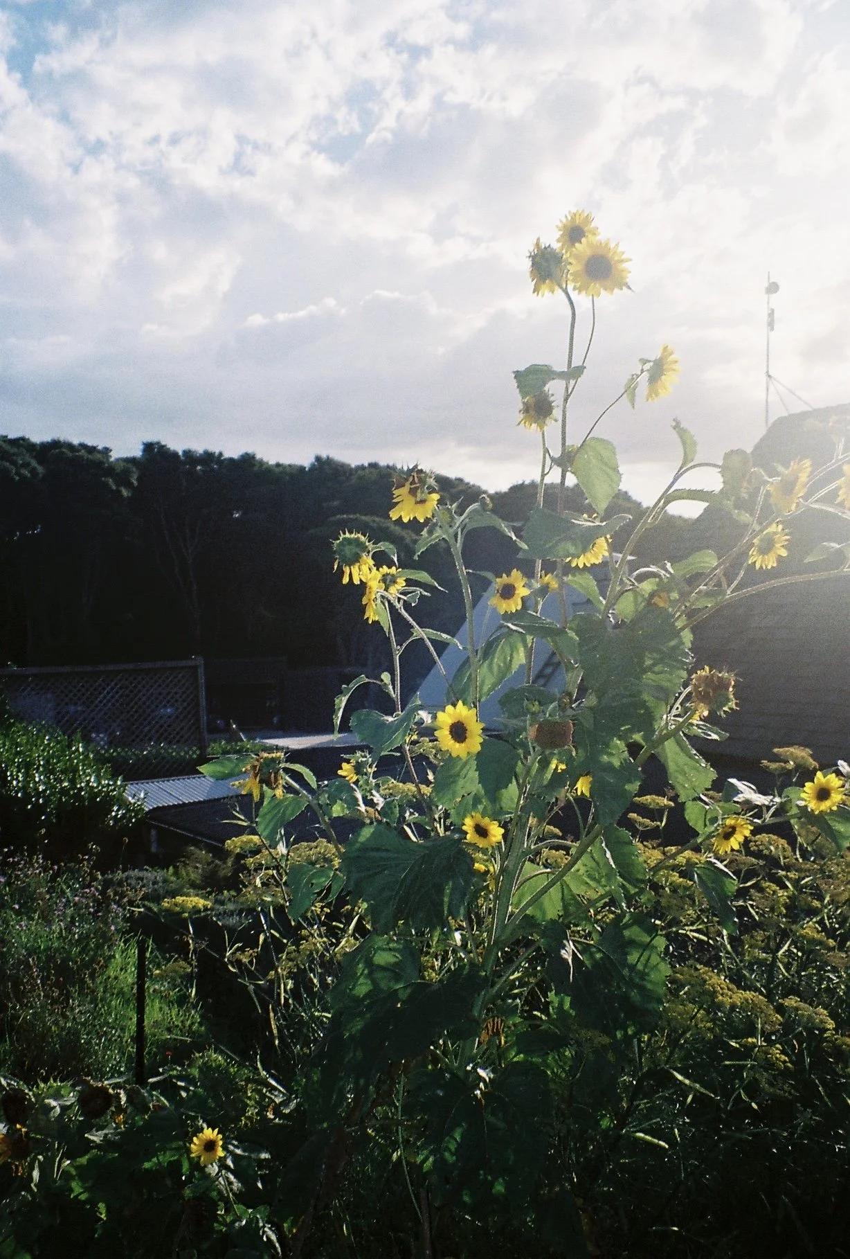 a033152-r1-09-10.jpg