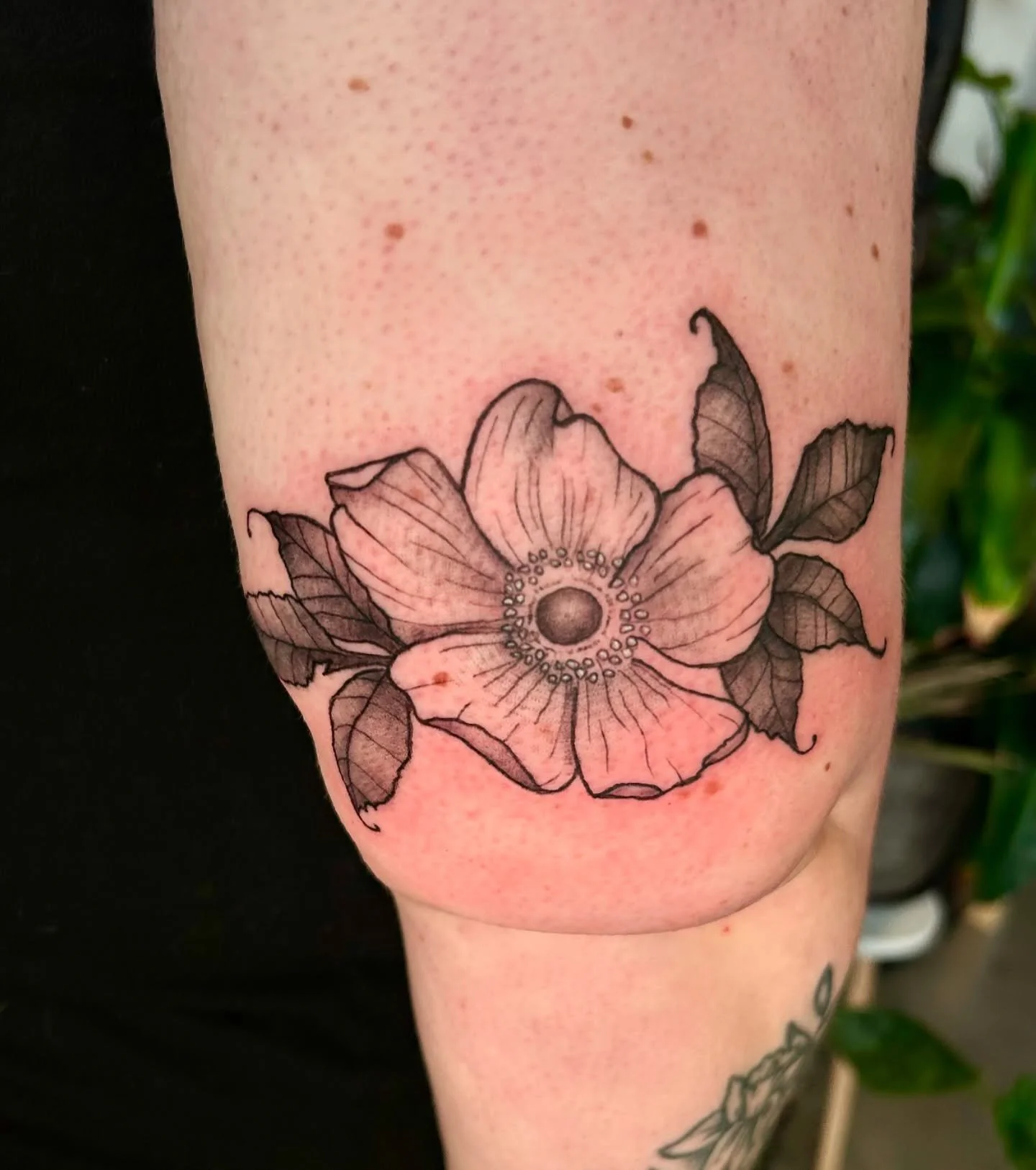 Finished my last tattoo at Girls & Roses with a piece for my new friend and favorite Dutch Bros barista! I had such a blast working on this one. 
Overflowing with gratitude for all the love and support from everyone who’s reached out. Your