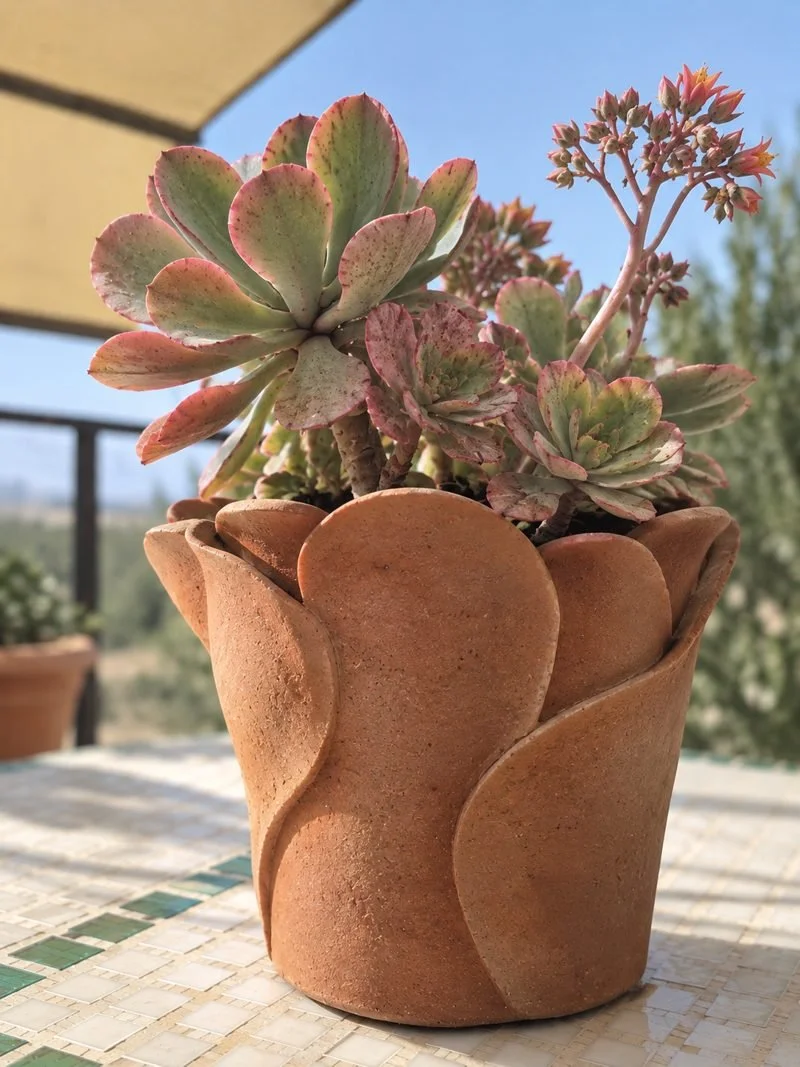 Maceta escultórica de terracota con planta suculenta