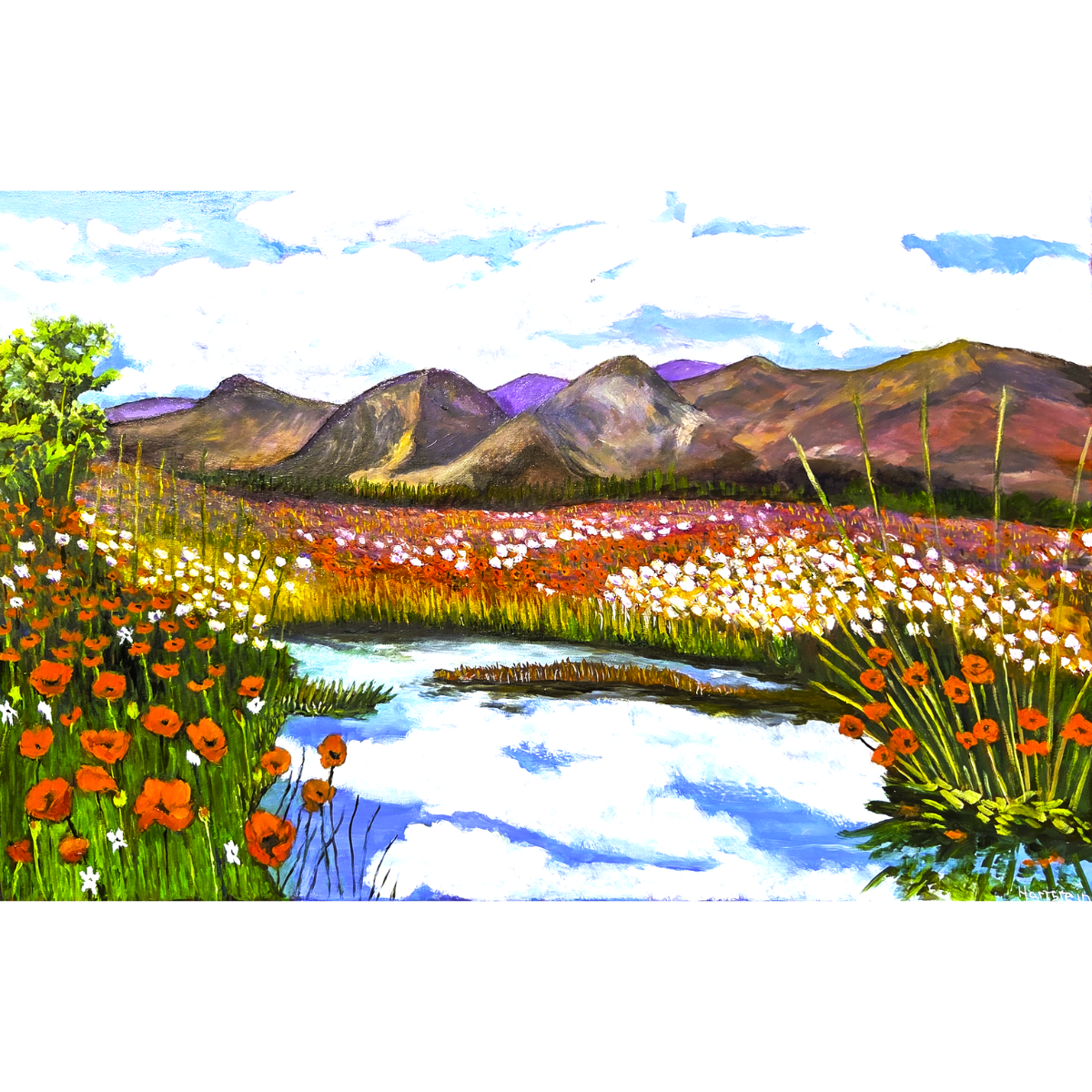poppies on a cloudy2 cover.png