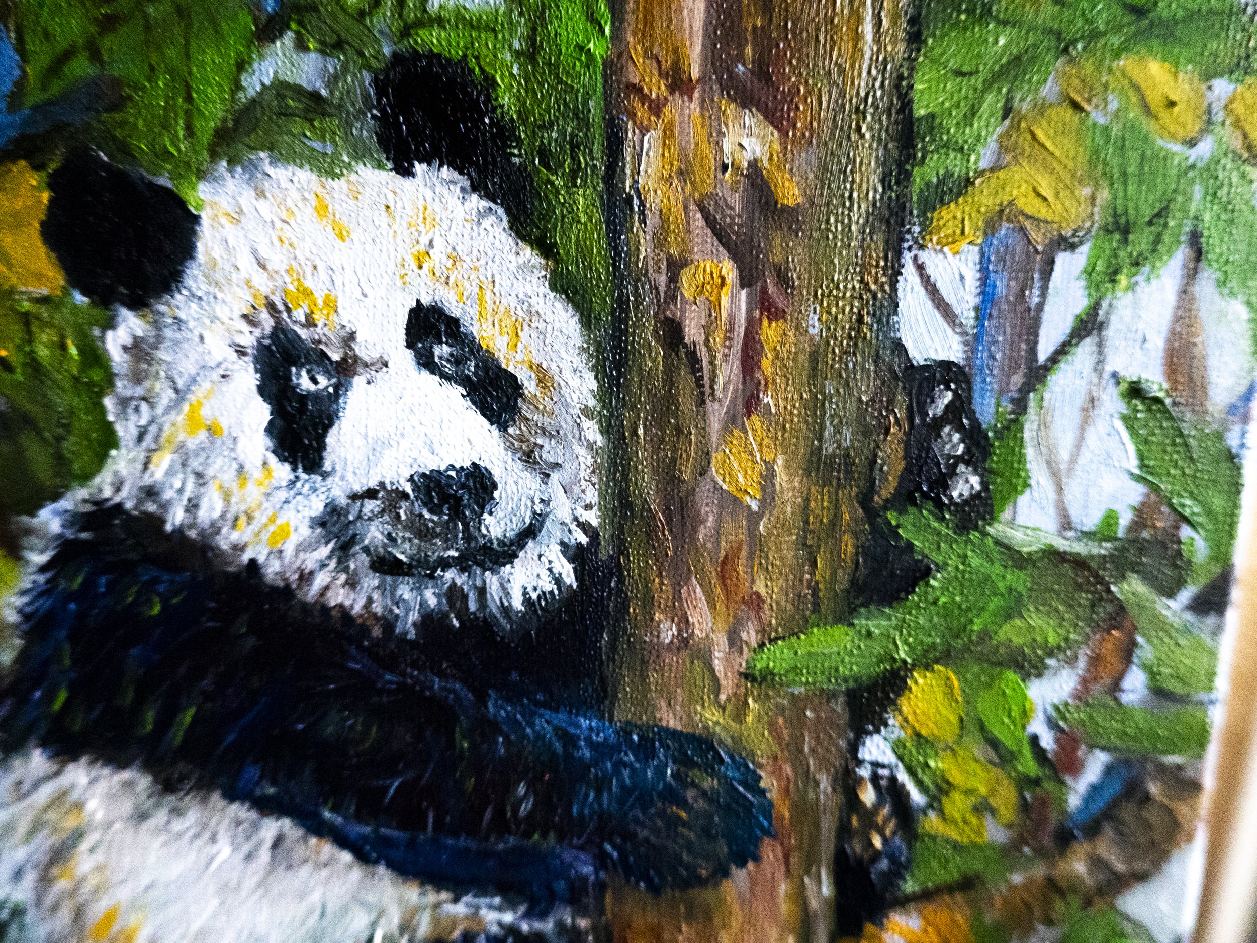 Gentle Panda closeup.jpg