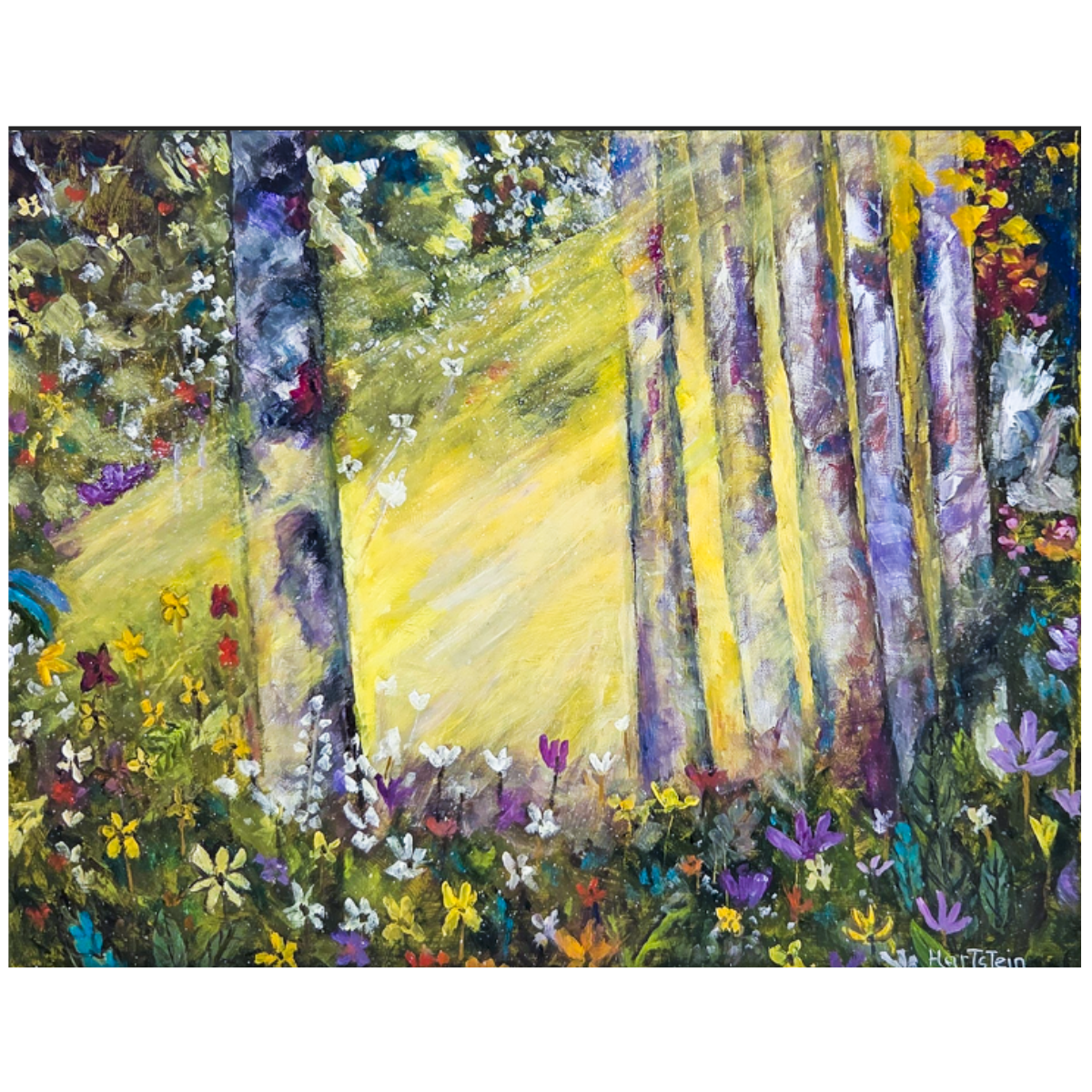 Birch Forest At Sunrise #2- New Painting