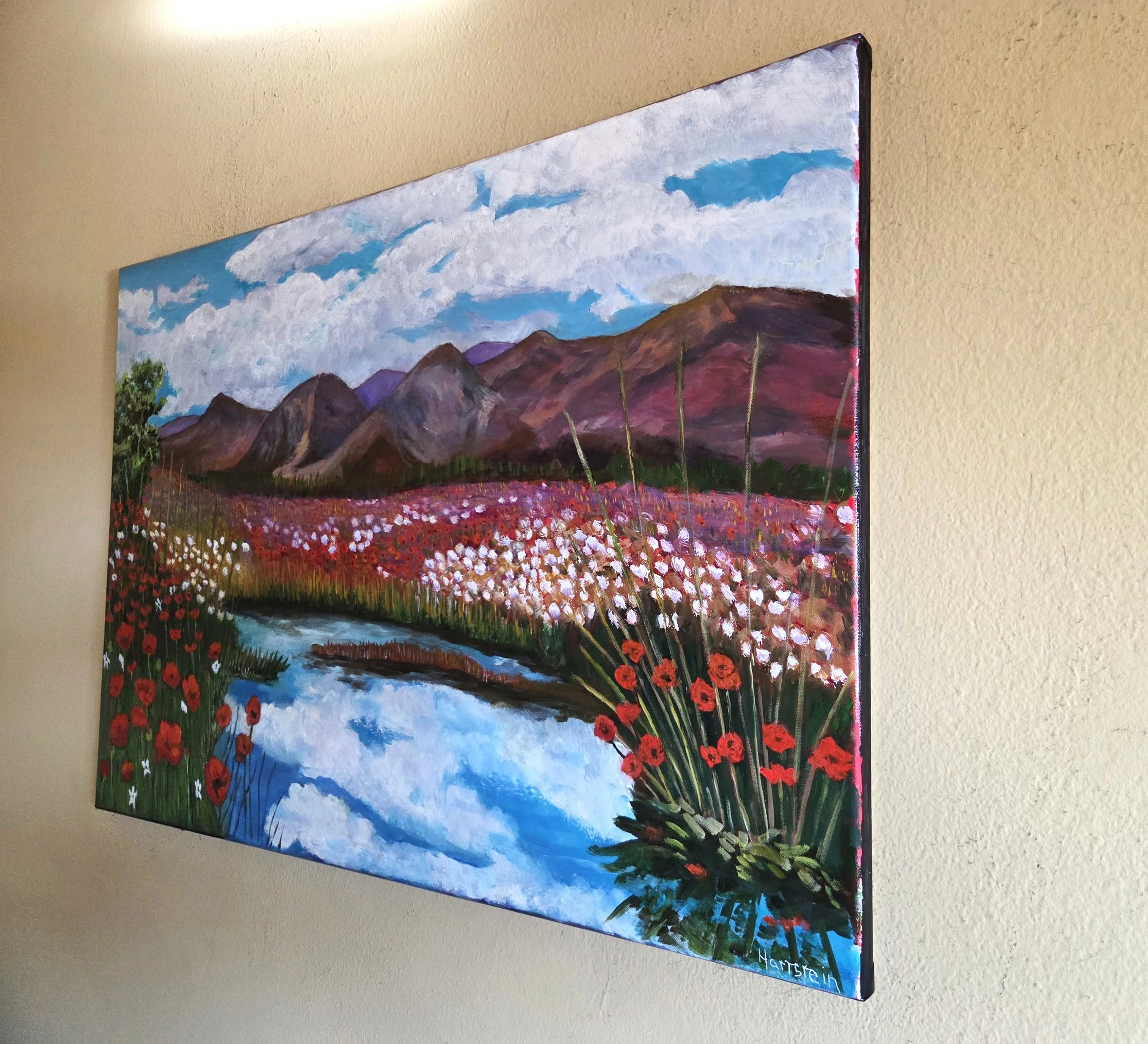 poppies on a cloudy day end.jpg