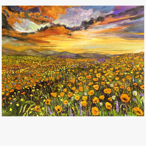 Poppy Panorama – Archival Prints