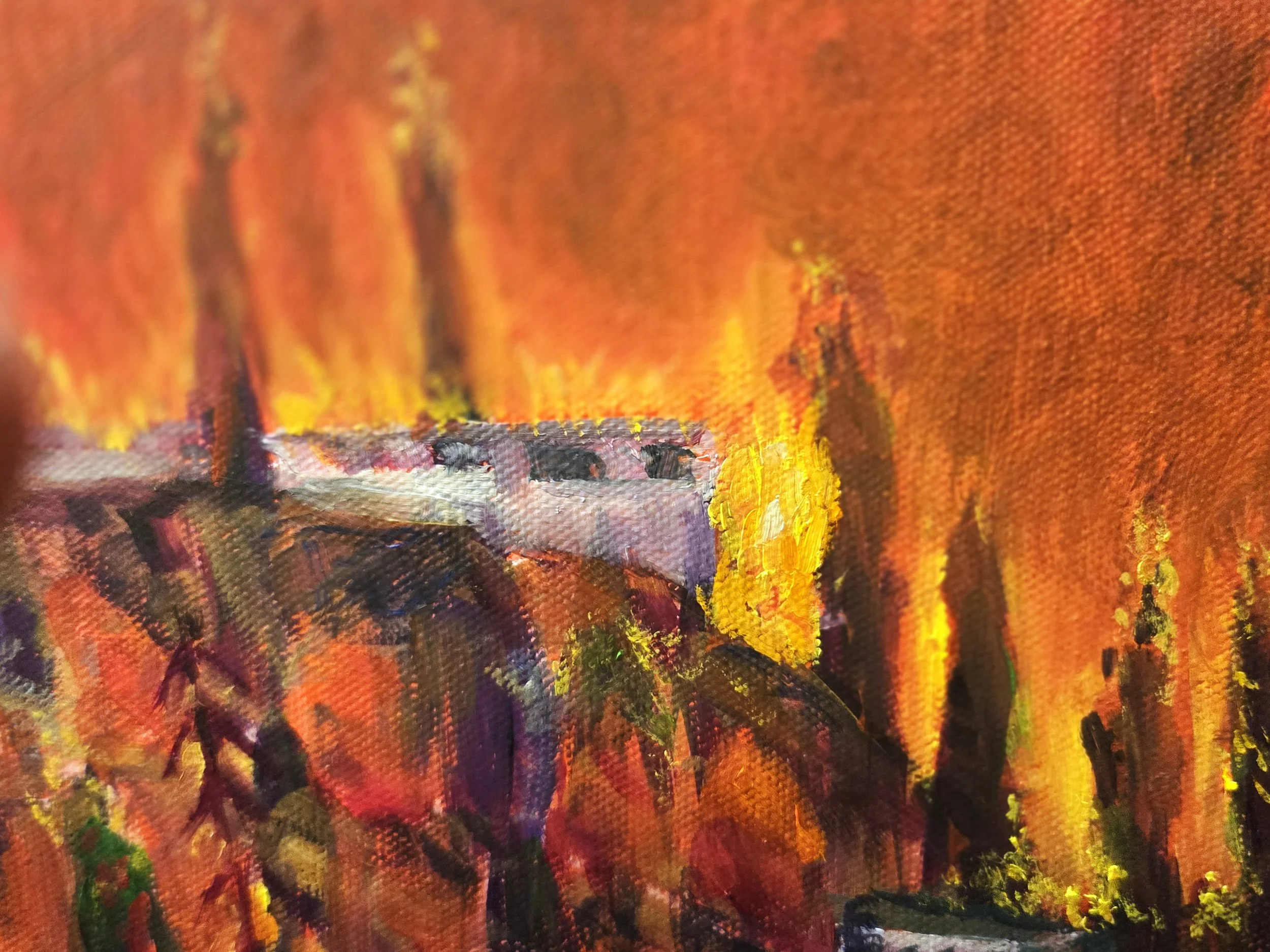 Palisades close up 1 final.jpg