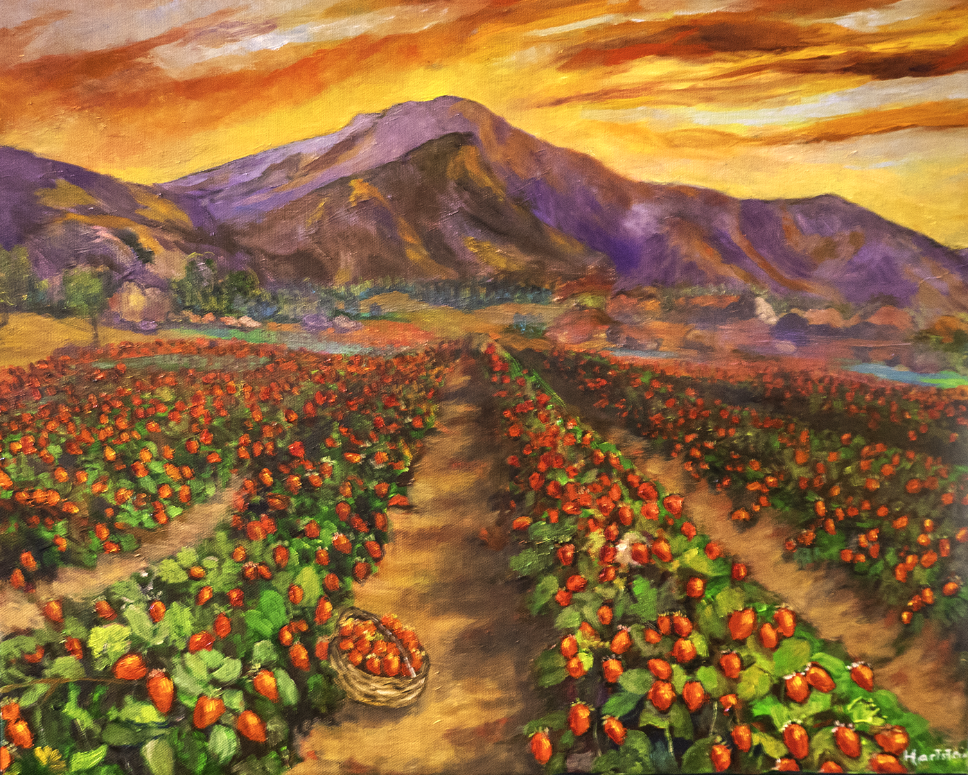 strawberry fields final 1.png