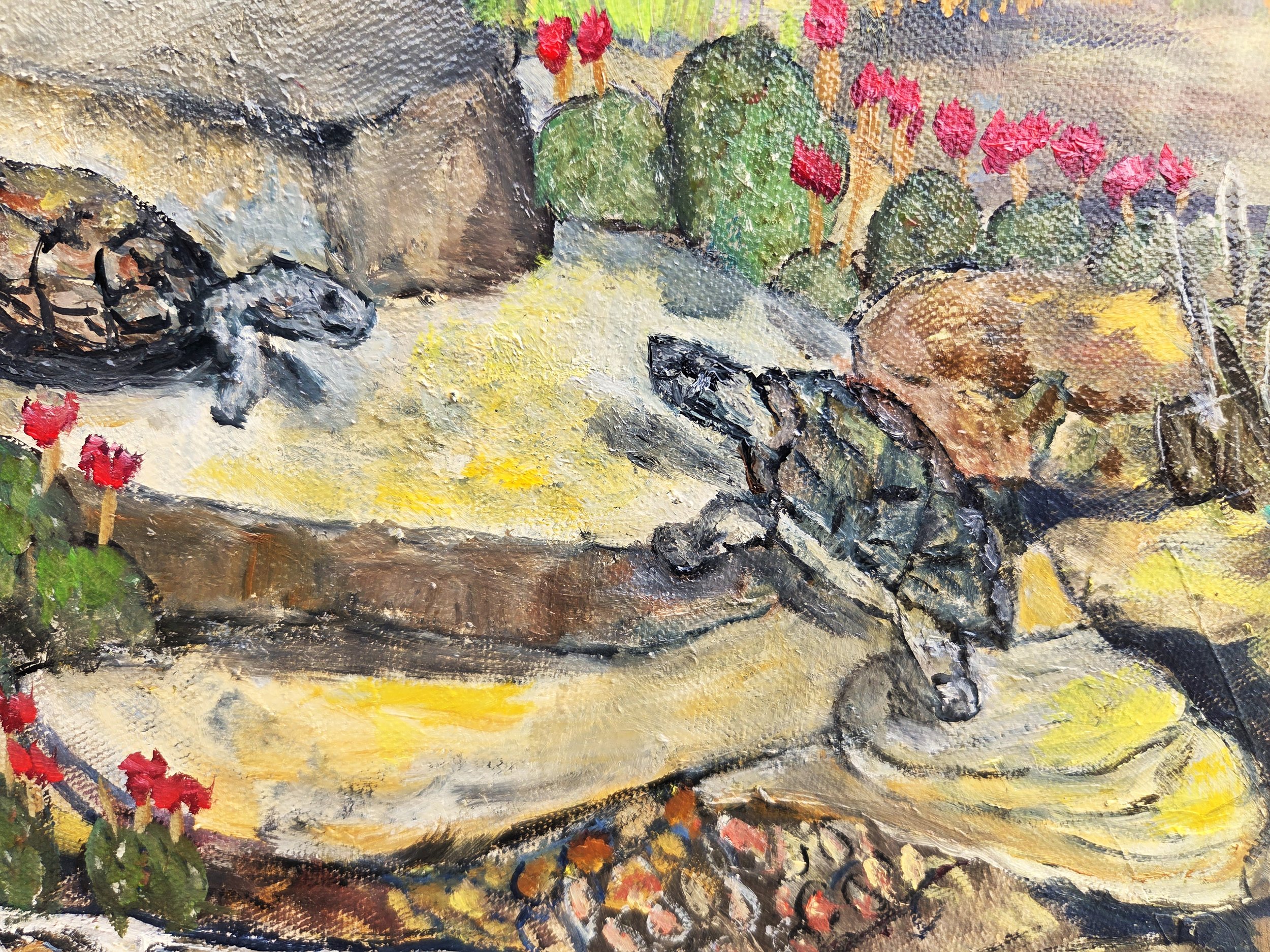 Living desert closeup 3.jpg