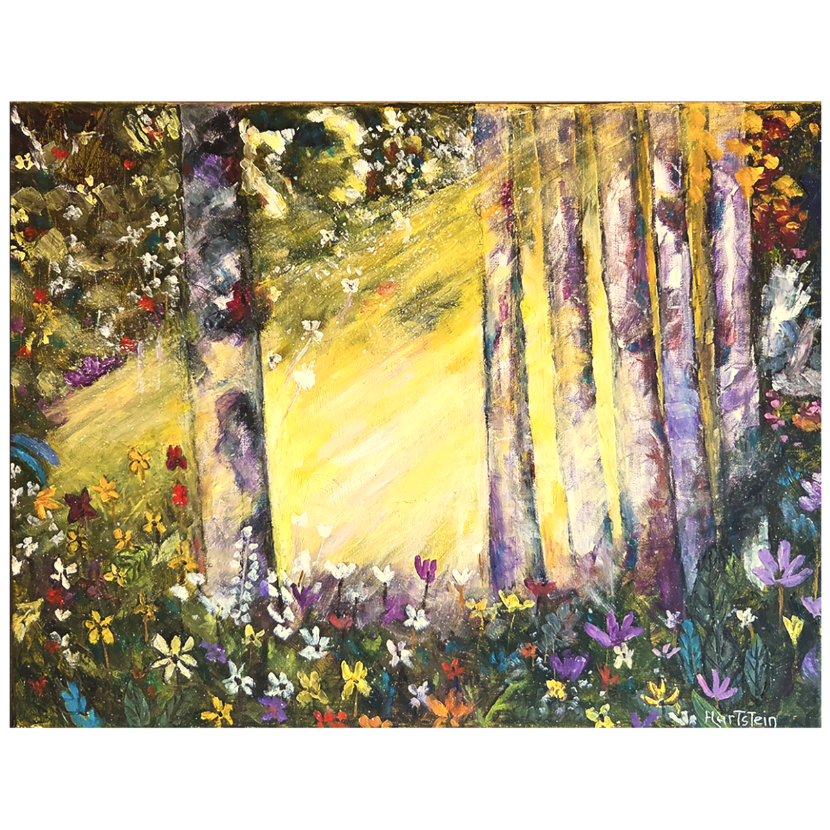 Birch forest final cover oct 11, 2026.png