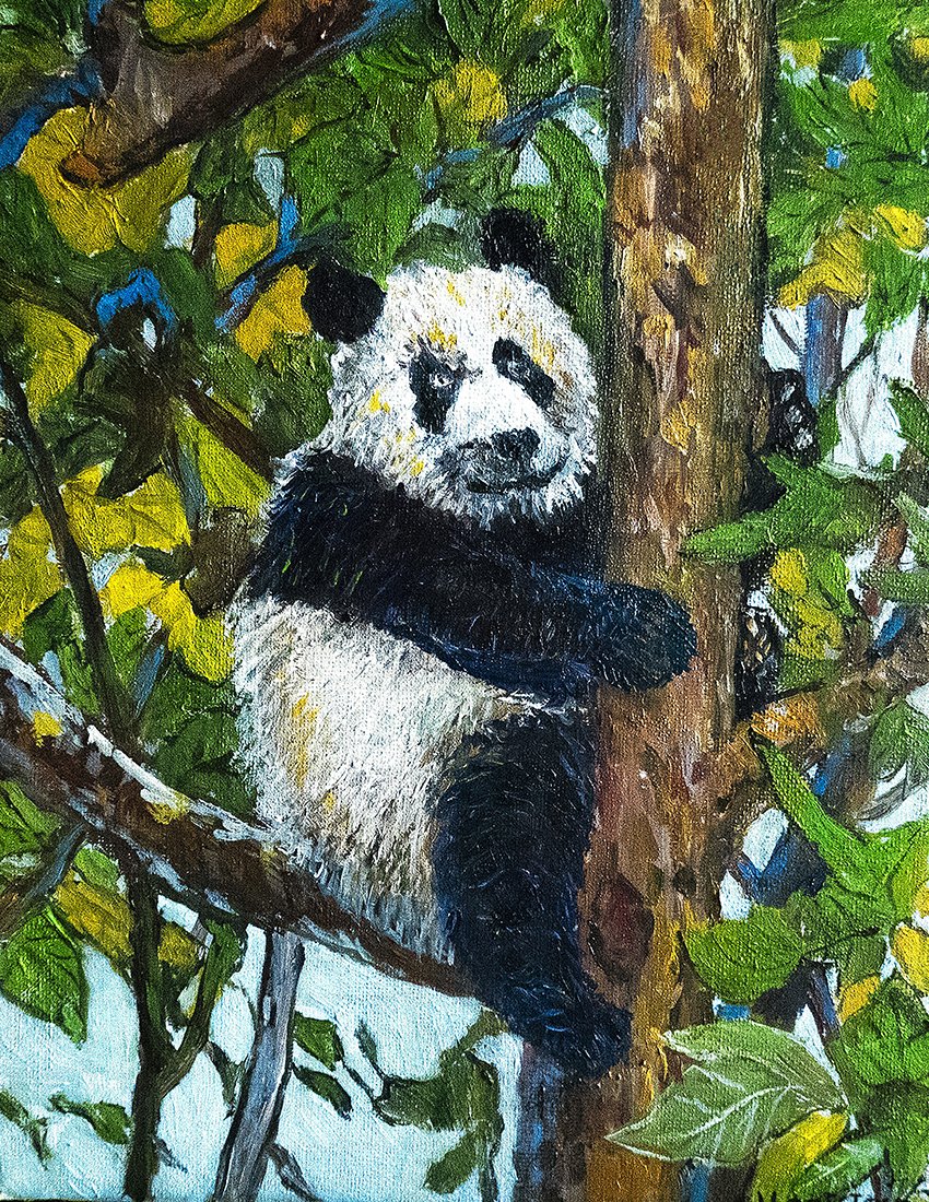 Gentle Panda