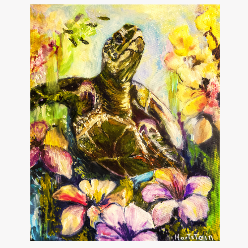 Turtles garden cover.png