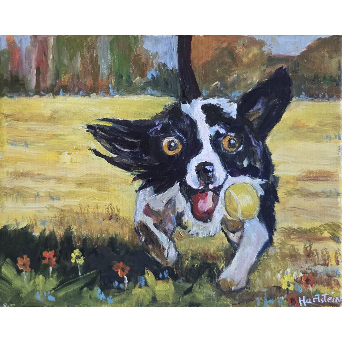dog at play coverpng.png
