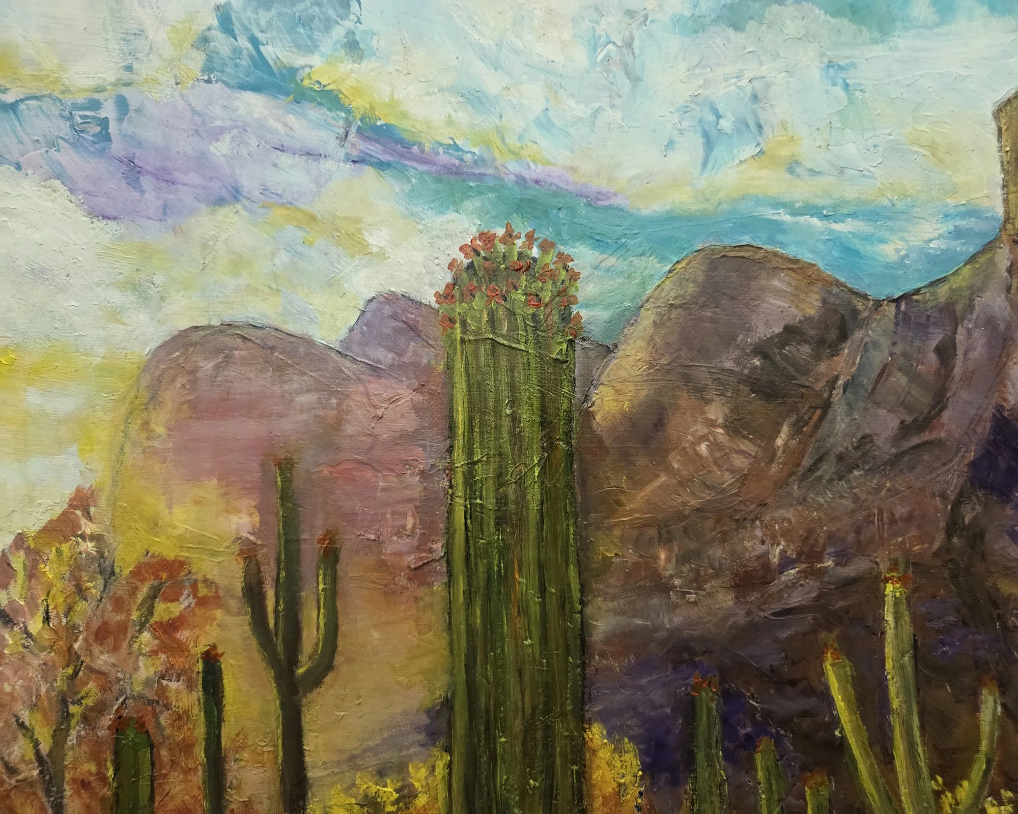 desert colors closeup Jan 1, 2026.jpg