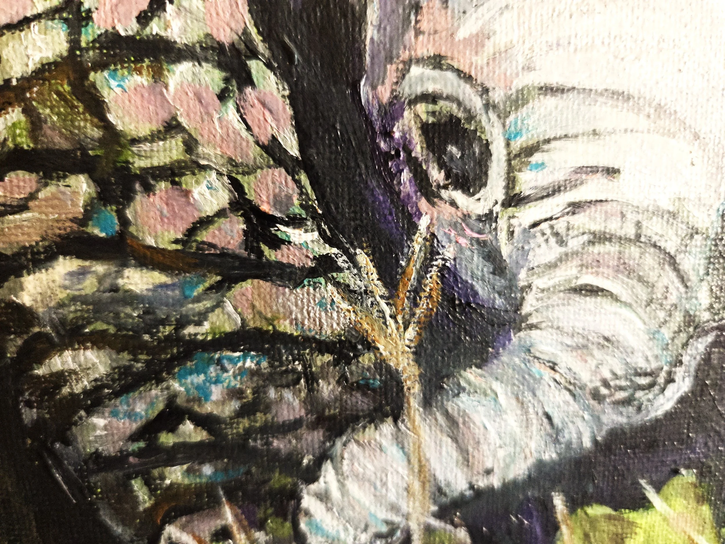 Elephant closeup1.jpg