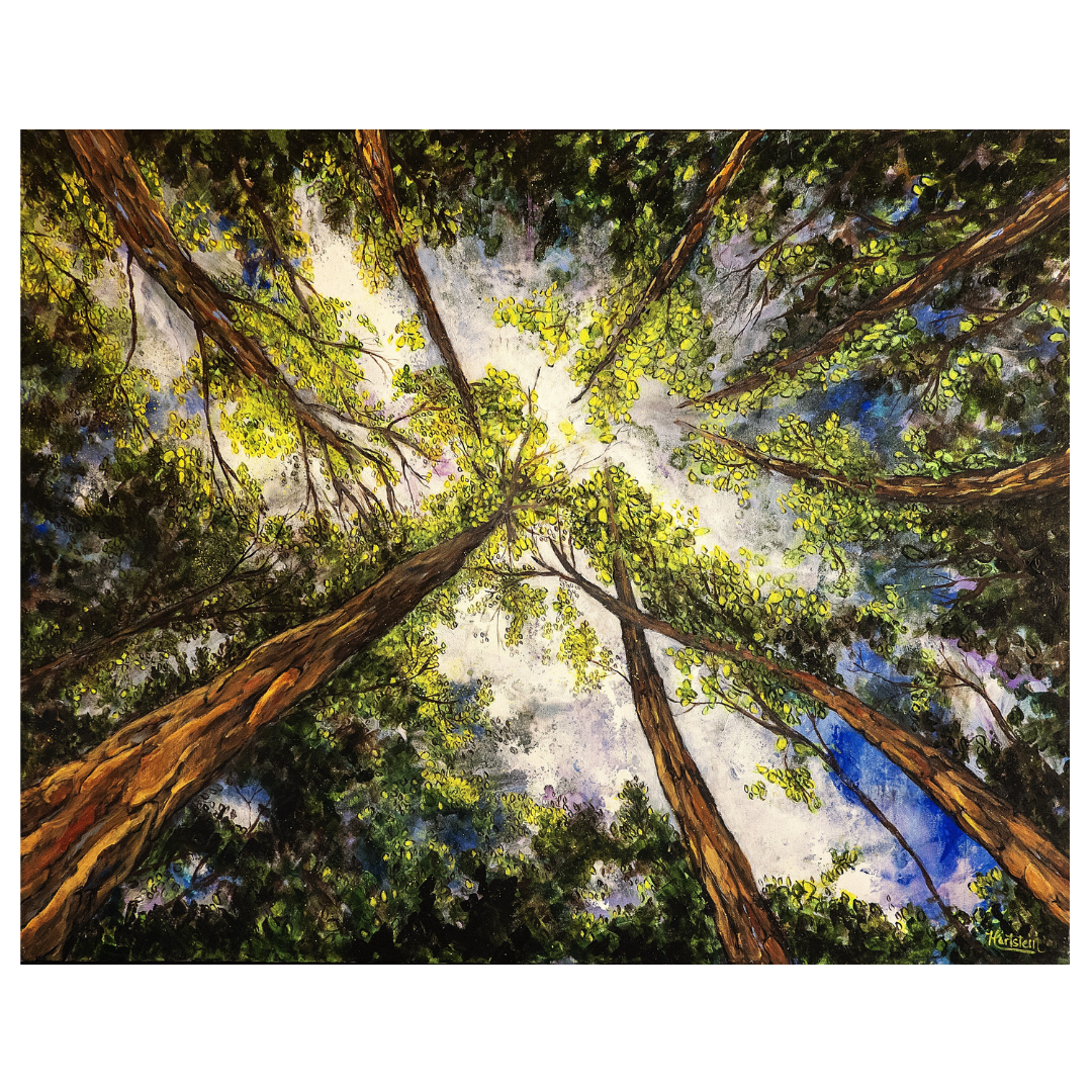 looking skyward cover.png