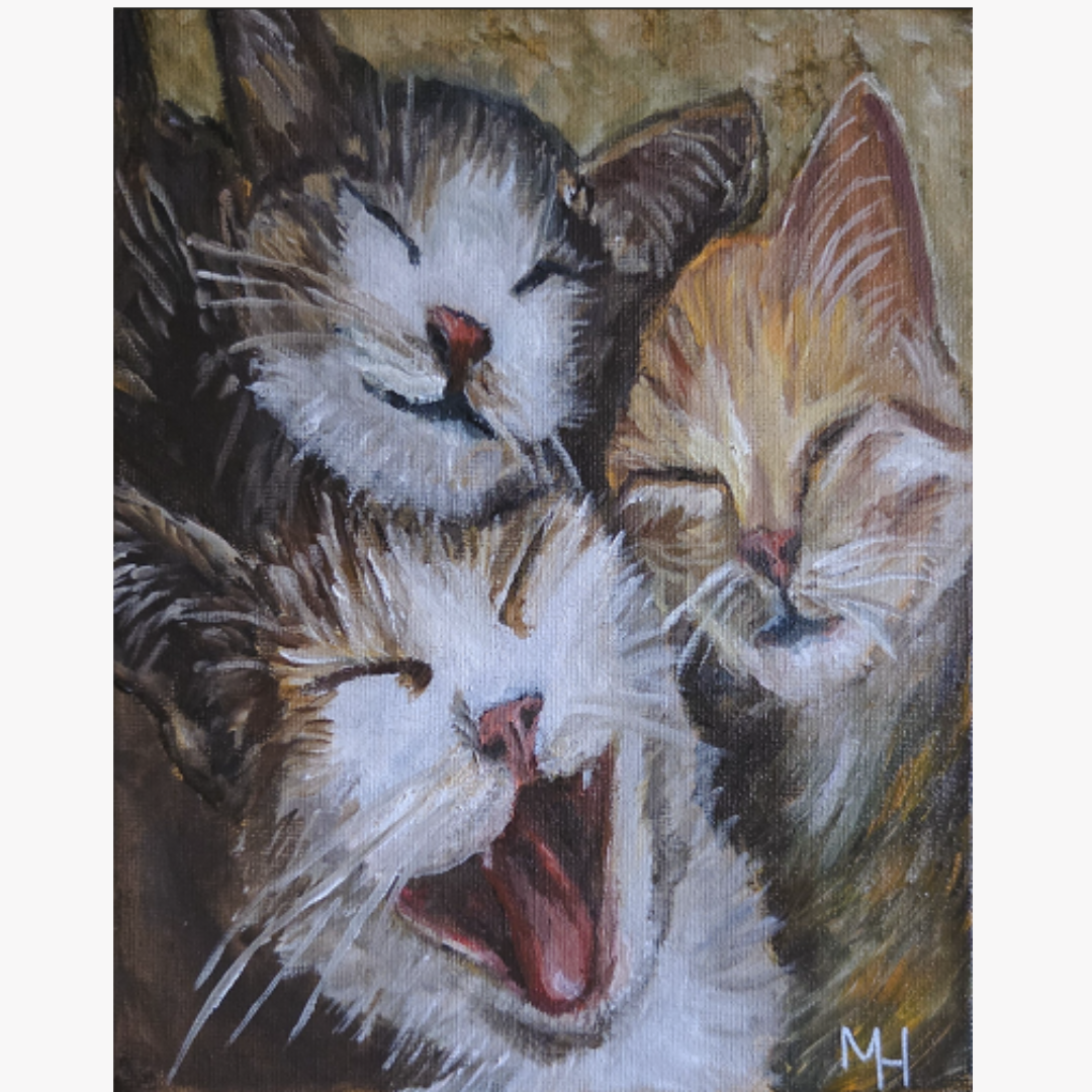 The three amigos cover.png