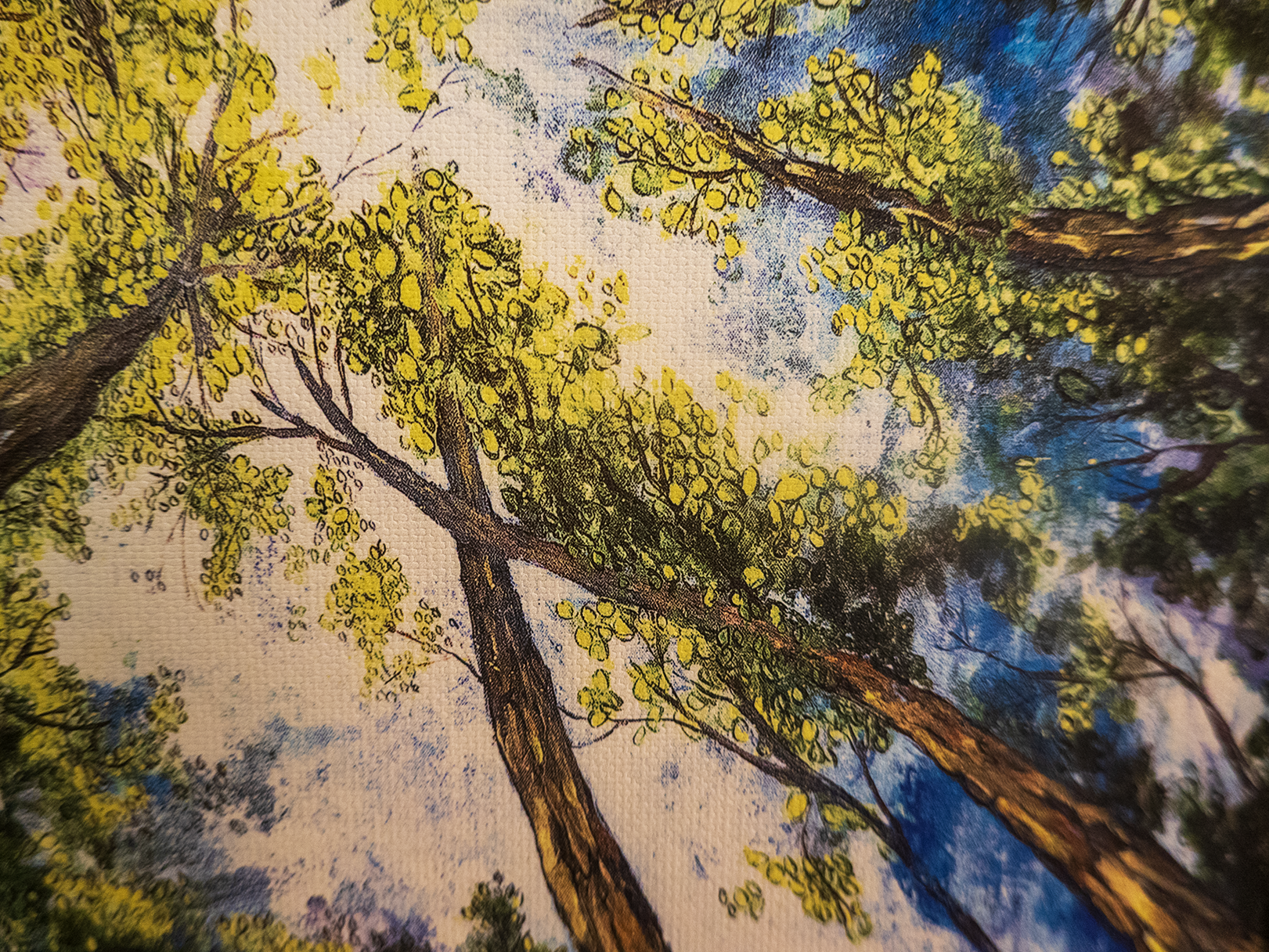 looking skyward closeup print.png