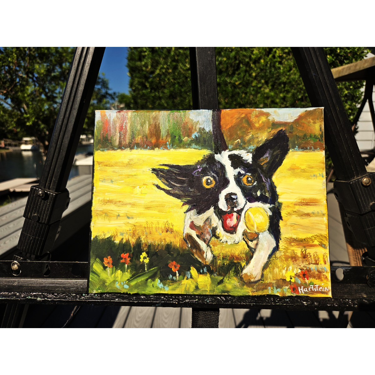 dog at play easel 3.png