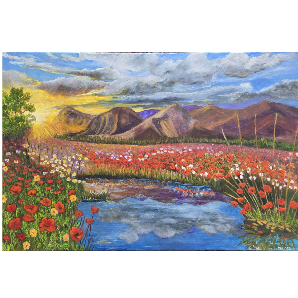 Poppy sunrise final coverpng.png