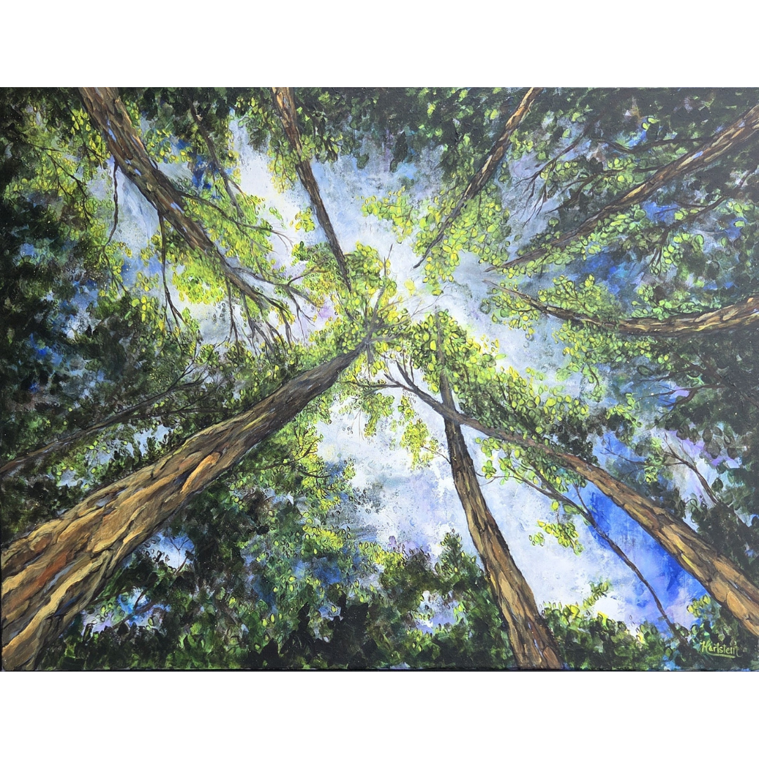 Tall trees looking up at green leaves against a blue sky.