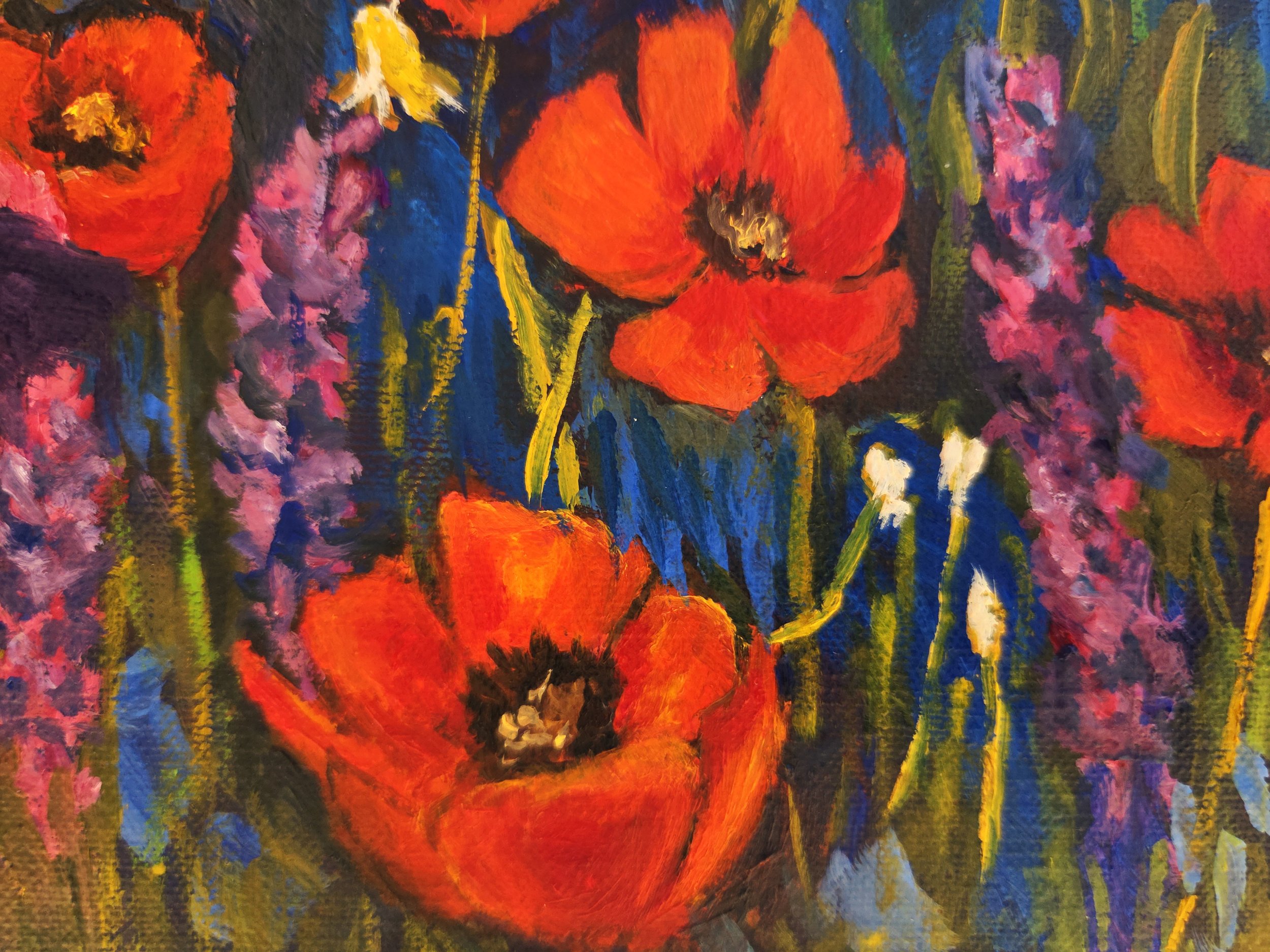 poppy dreams close up may 21, 2026.jpg