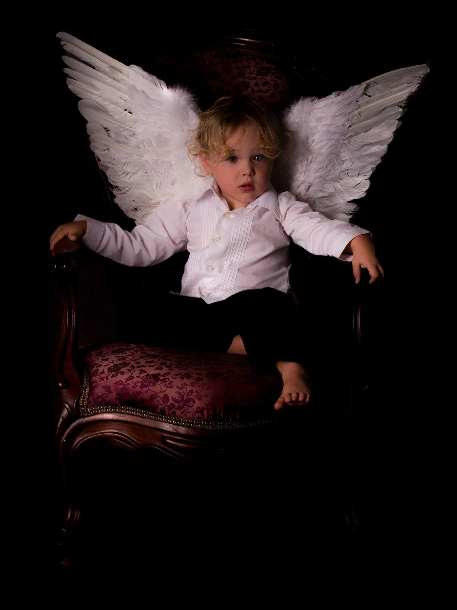 A young boy with curly blonde hair and white angel wings sitting on an ornate wooden chair with a red cushioned seat, wearing a white dress shirt against a dark background.