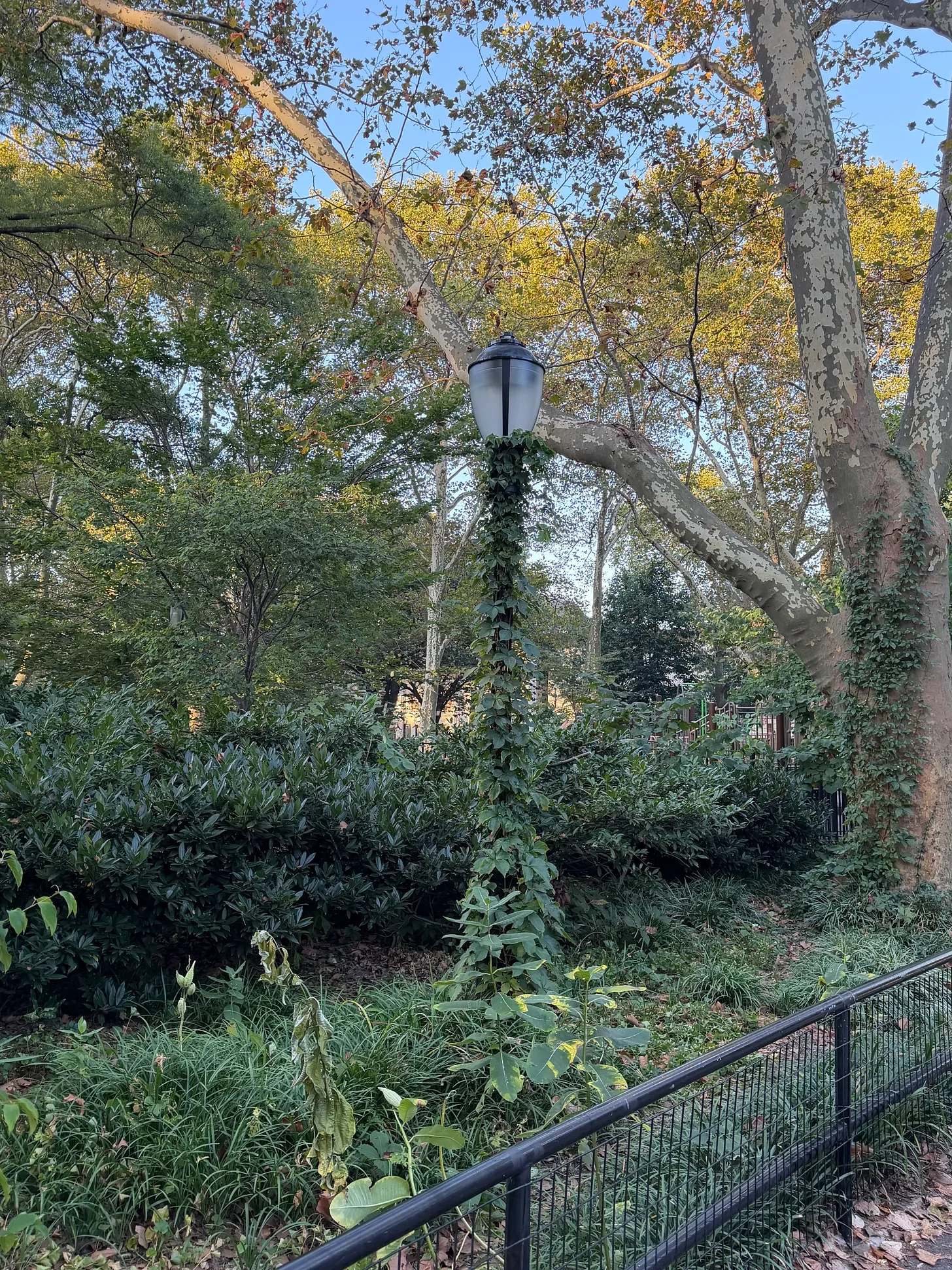 Whether the weather, we must get dressed