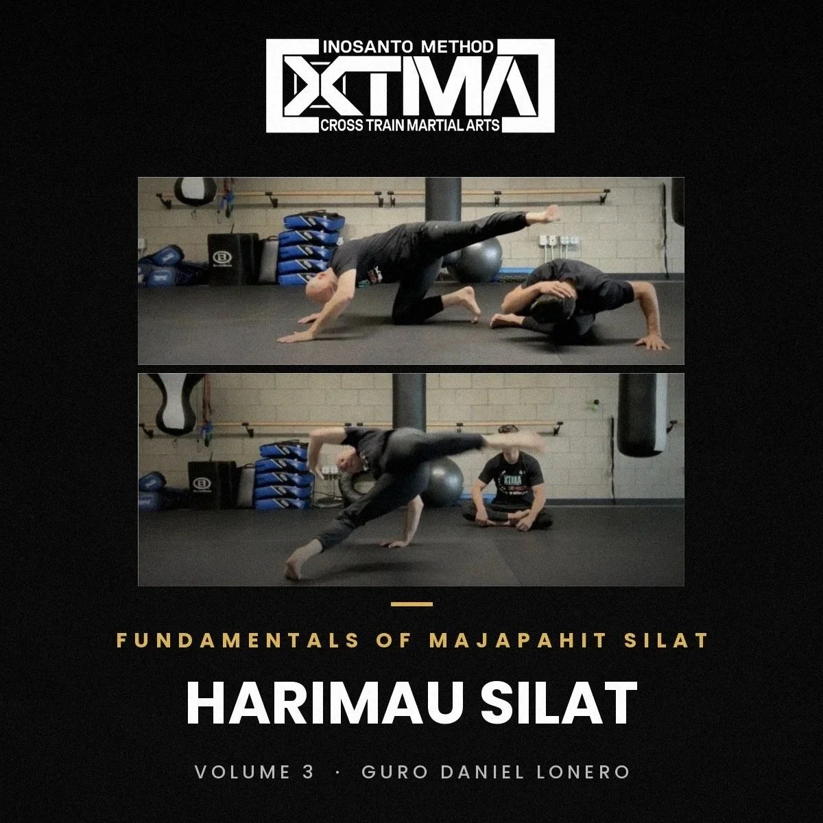 Fundamentals of Majapahit Silat Vol. 3 - Introduction to Harimau Silat