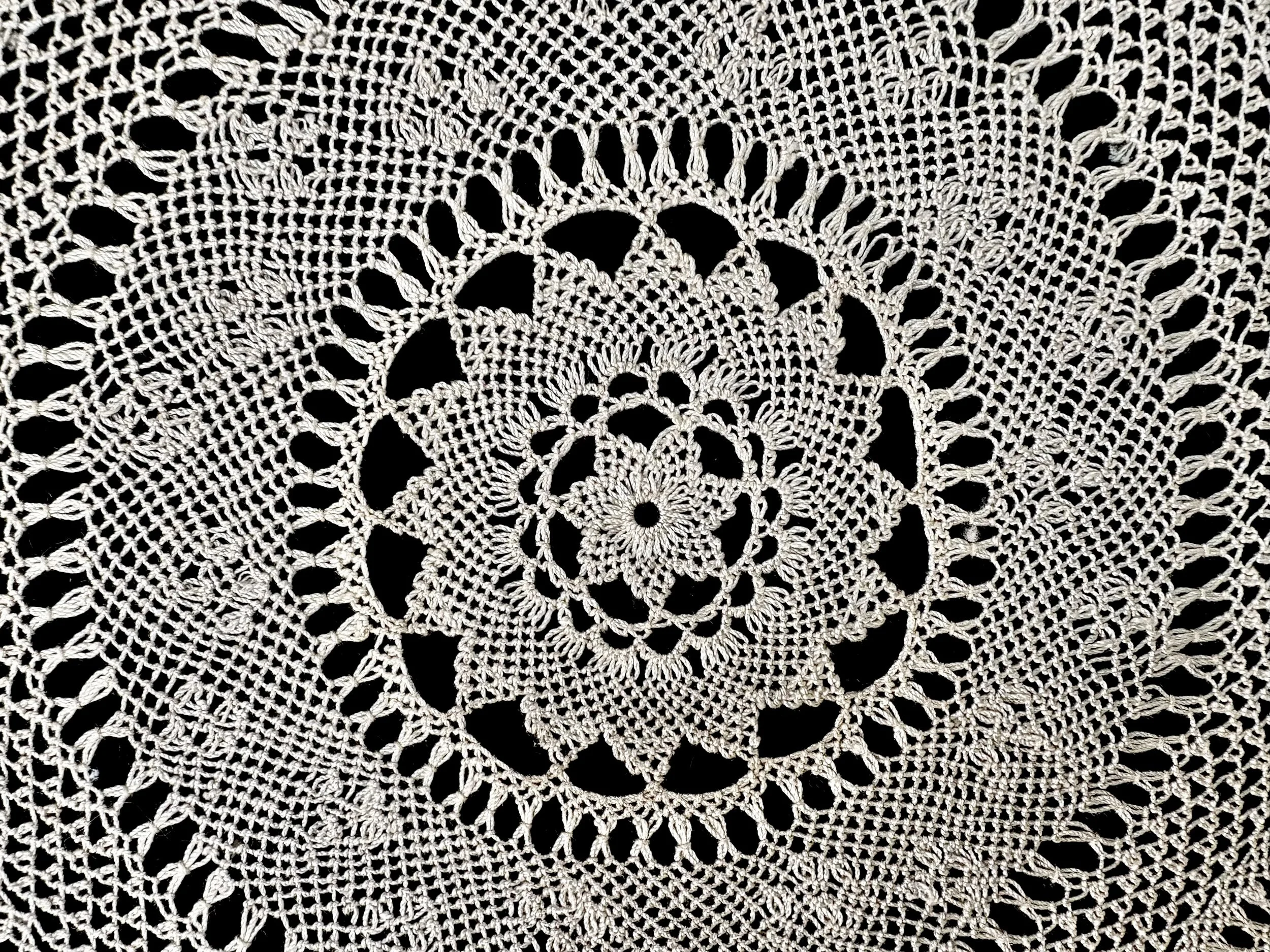 Azadig Bidanian Archive. Unknown maker, needlelace, unknown location and date (detail).

Photo credit: © Deborah Valoma 2025.
