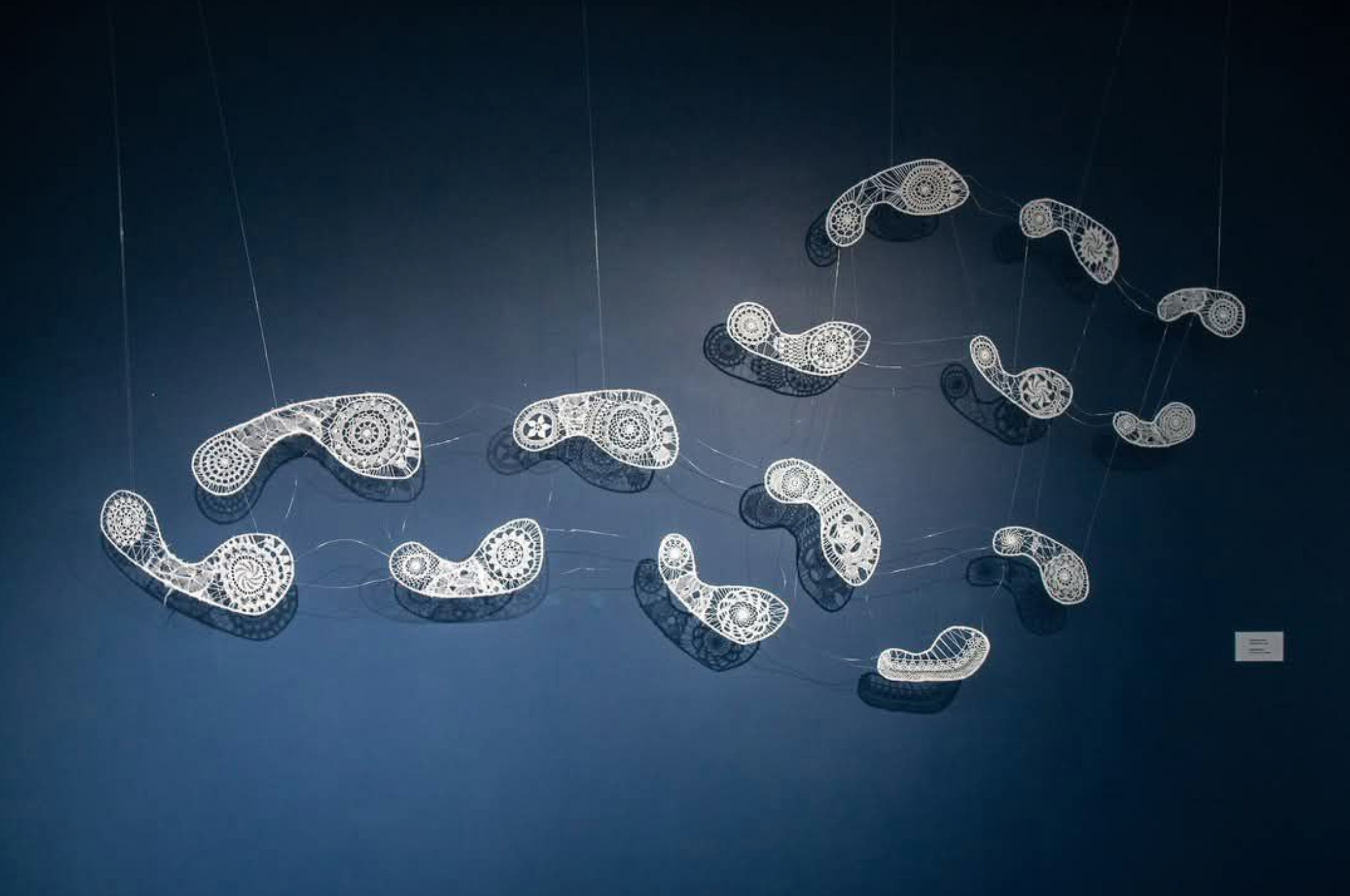 Armine Atoyan,  ԱՆՄԱՀՈՒԹՅԱՆ ՈՒՂԻՆ (The Path to Immortality) , wire, needlelace, cotton thread, Armenia, 2024. «Աշխատանքը ներկայացվել է Today Art Initiative ՀԿ-ի կողմից կազմակերպված «Պարիաներ» նախագծի խմբային ցուցահանդեսին՝ Չարենցի տուն-թանգարանում: Ց