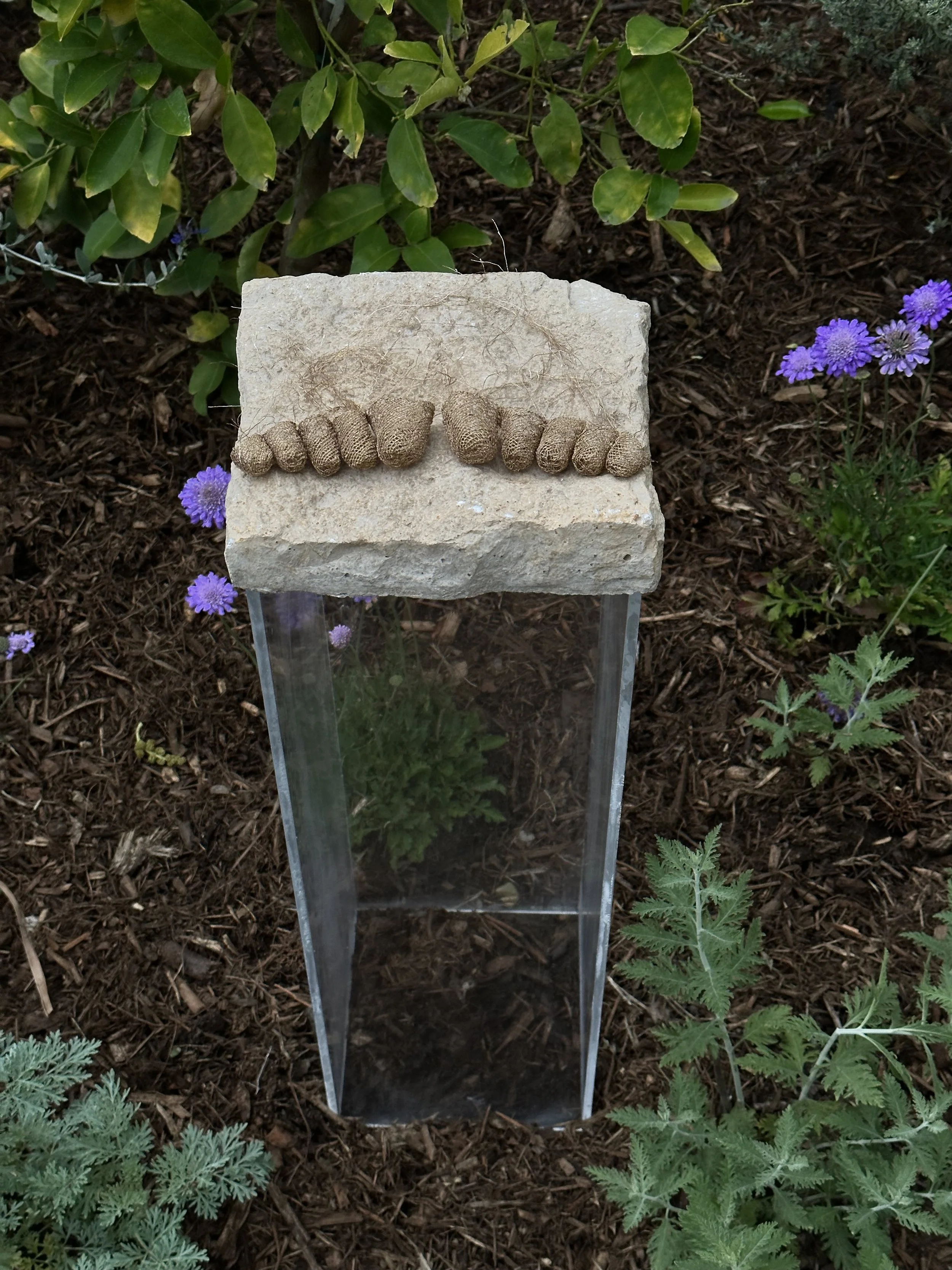 Ruzanna Hanesyan, lace sculpture of the artist's feet; metallic thread, stone, plexiglass; Pasadena, CA, 2024. First exhibited at the mi526 event "Bloom." Photo credit: © Ruzanna Hanesyan 2024.