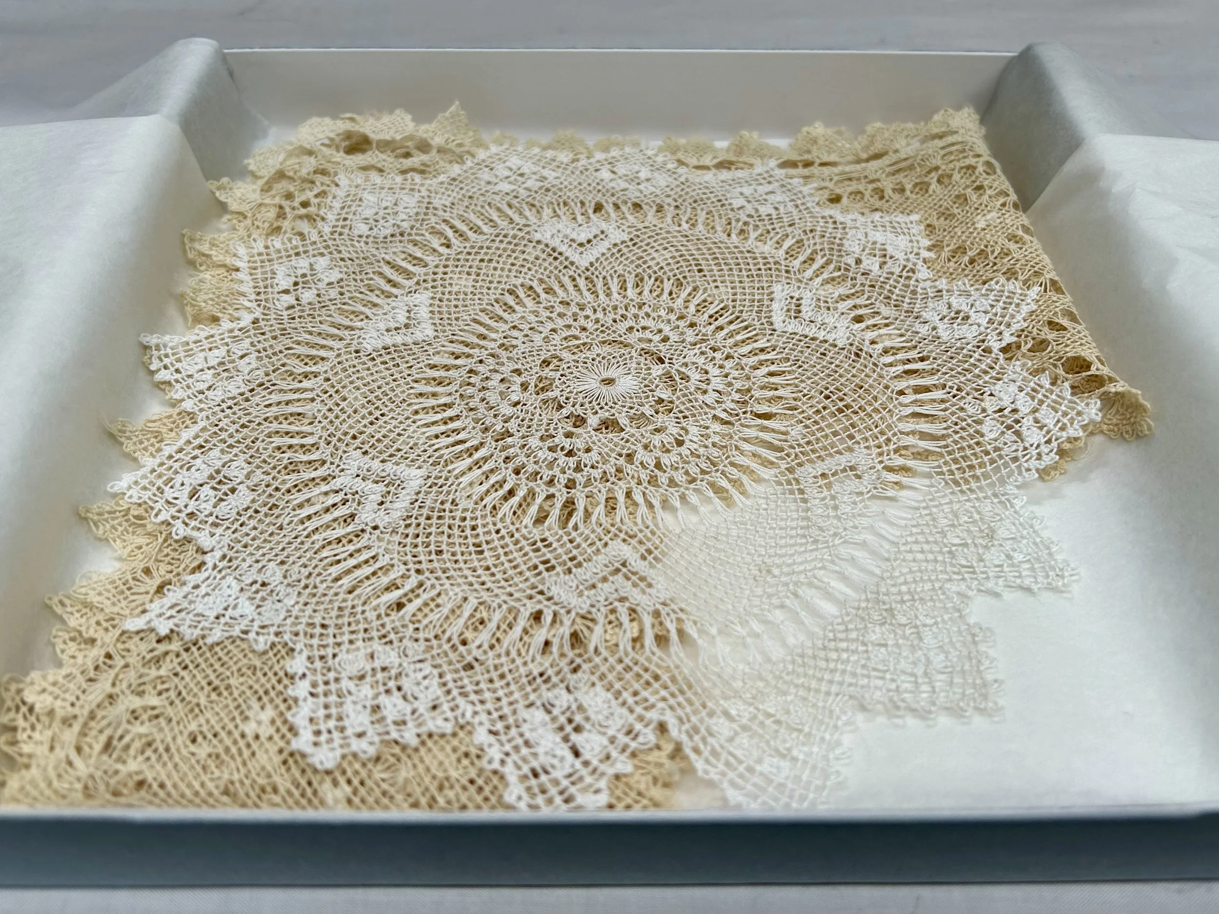 Dzaghig (last name unknown), needlelace doily and collar, ca. early twentieth century, Ankara or Istanbul, Türkiye. Gifted to Deborah Valoma by Zeynep Taşkın.  Photo credit: © Deborah Valoma 2023.