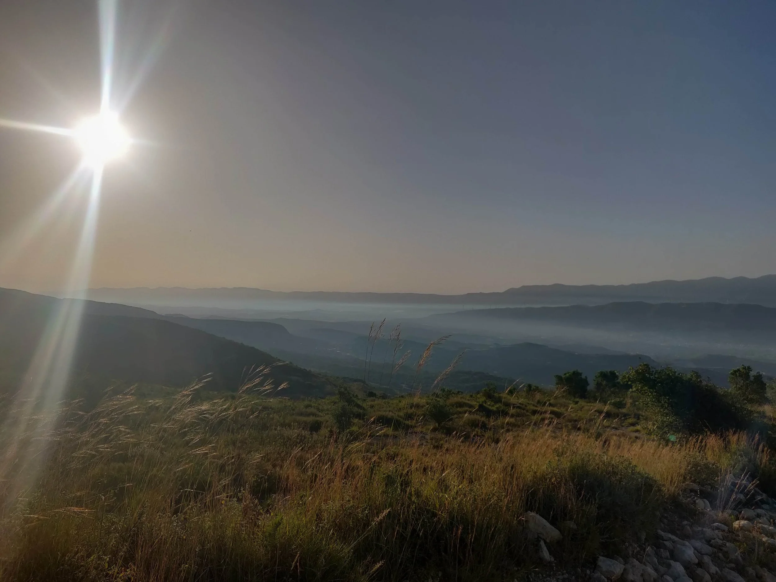 Details to come. Photo credit © Elise Youssoufian 2019.