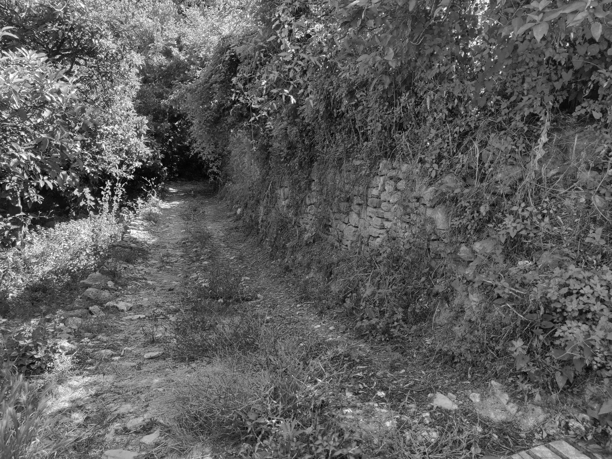 elise youssoufian: from port said back to the mountain (coming soon)