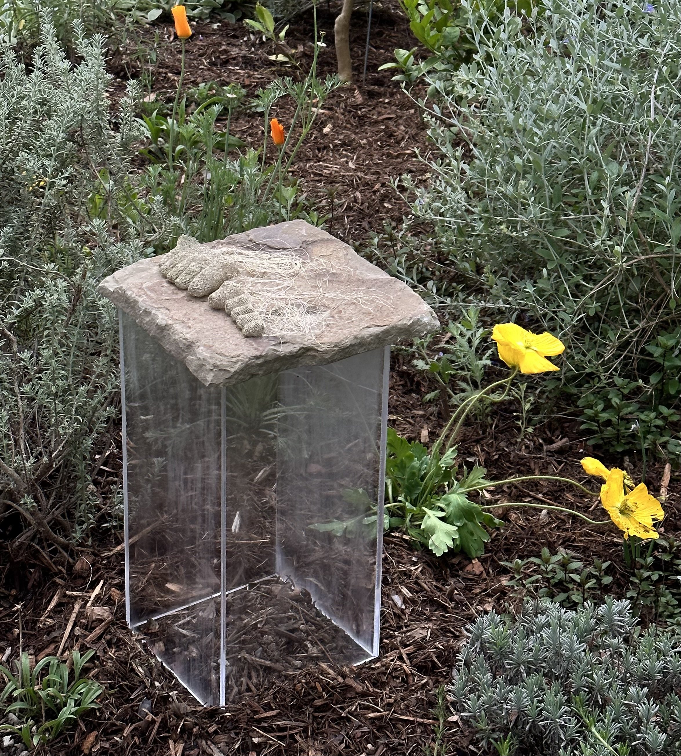 Ruzanna Hanesyan, lace sculpture of the artist's feet; metallic thread, stone, plexiglass; Pasadena, CA, 2024. First exhibited at the mi526 event "Bloom." Photo credit: © Ruzanna Hanesyan 2024.