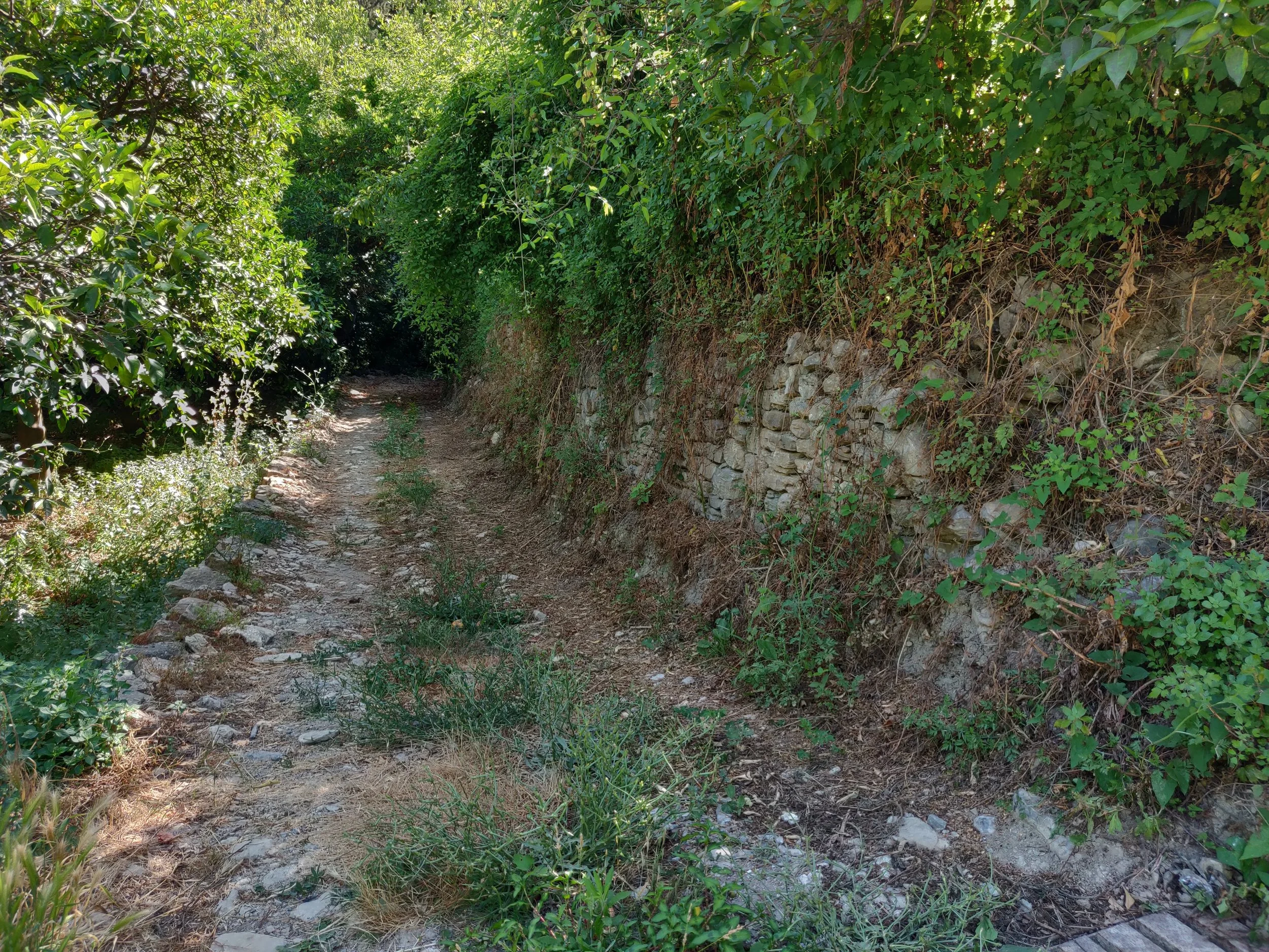 Details to come. Photo credit © Elise Youssoufian 2019.