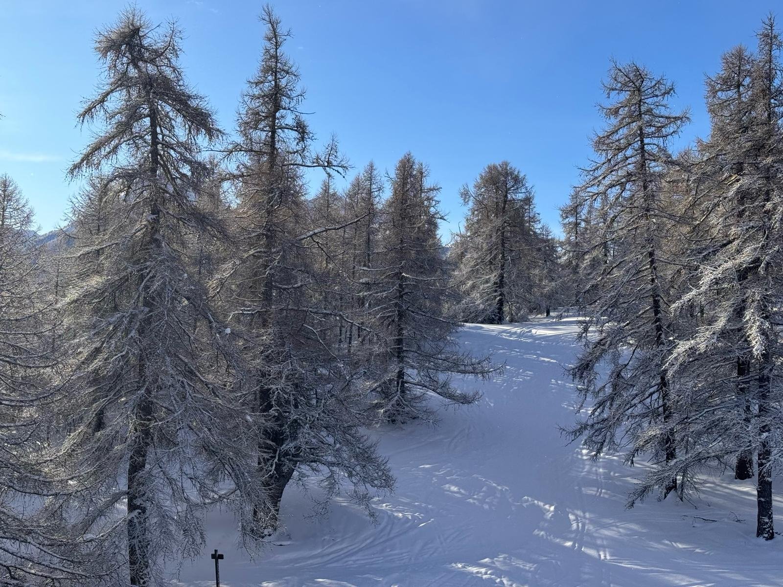 e88cb819-c1aa-4d85-b3c5-37439804bc6f 2.jpg