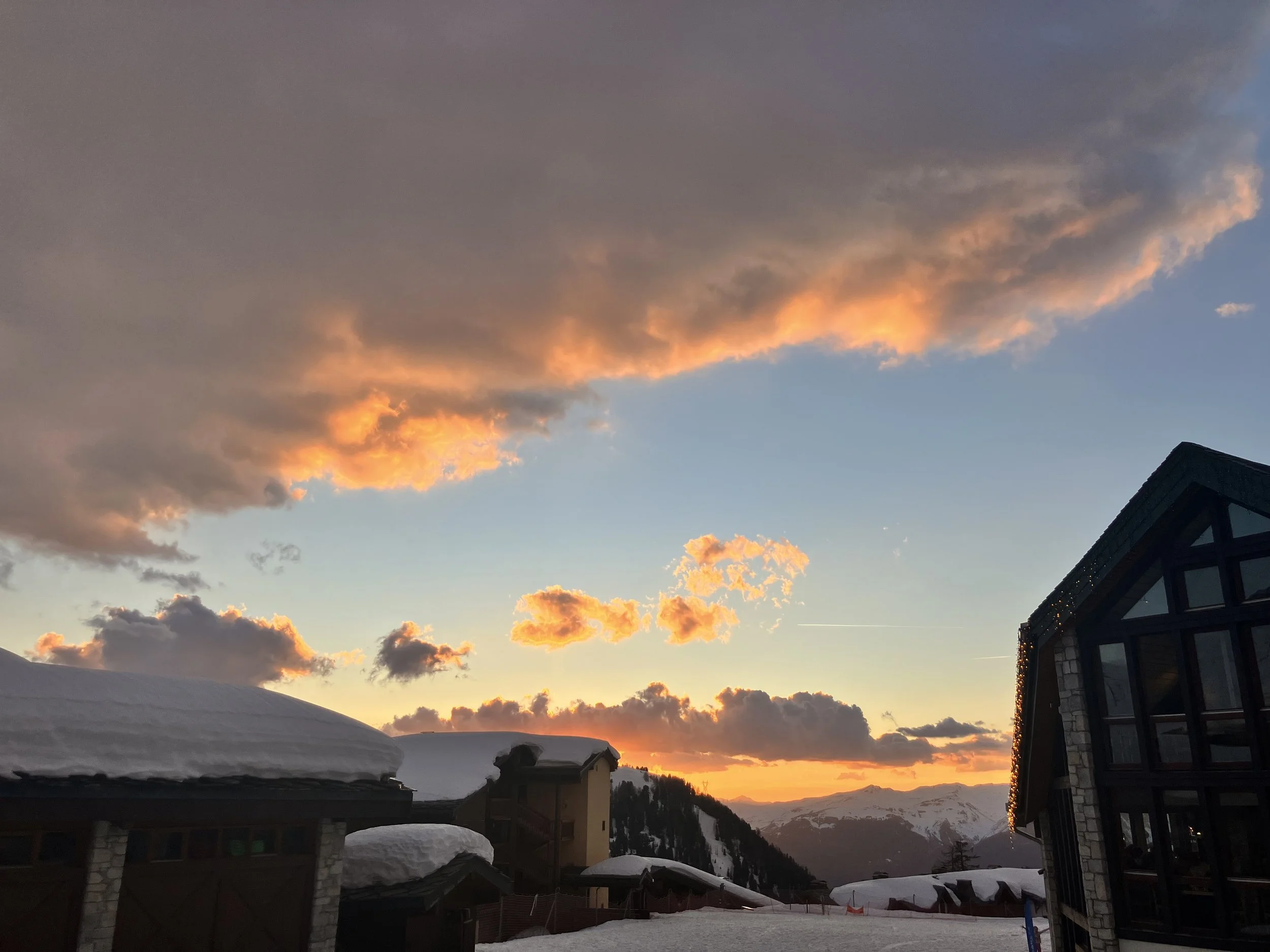 IMG_3506.jpeg