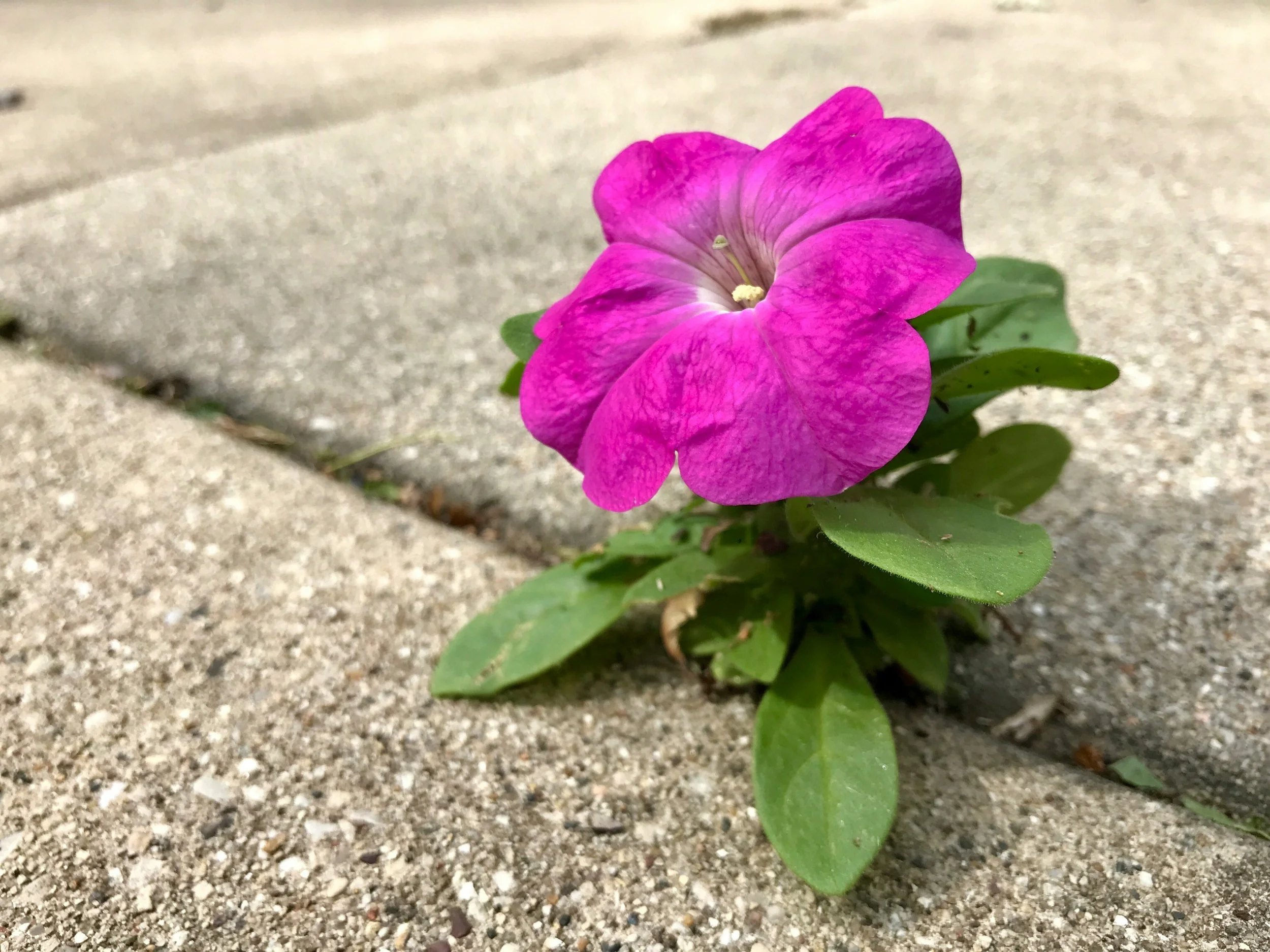 7 ways to put more kindness into the world (and Into Your Own LIfe)