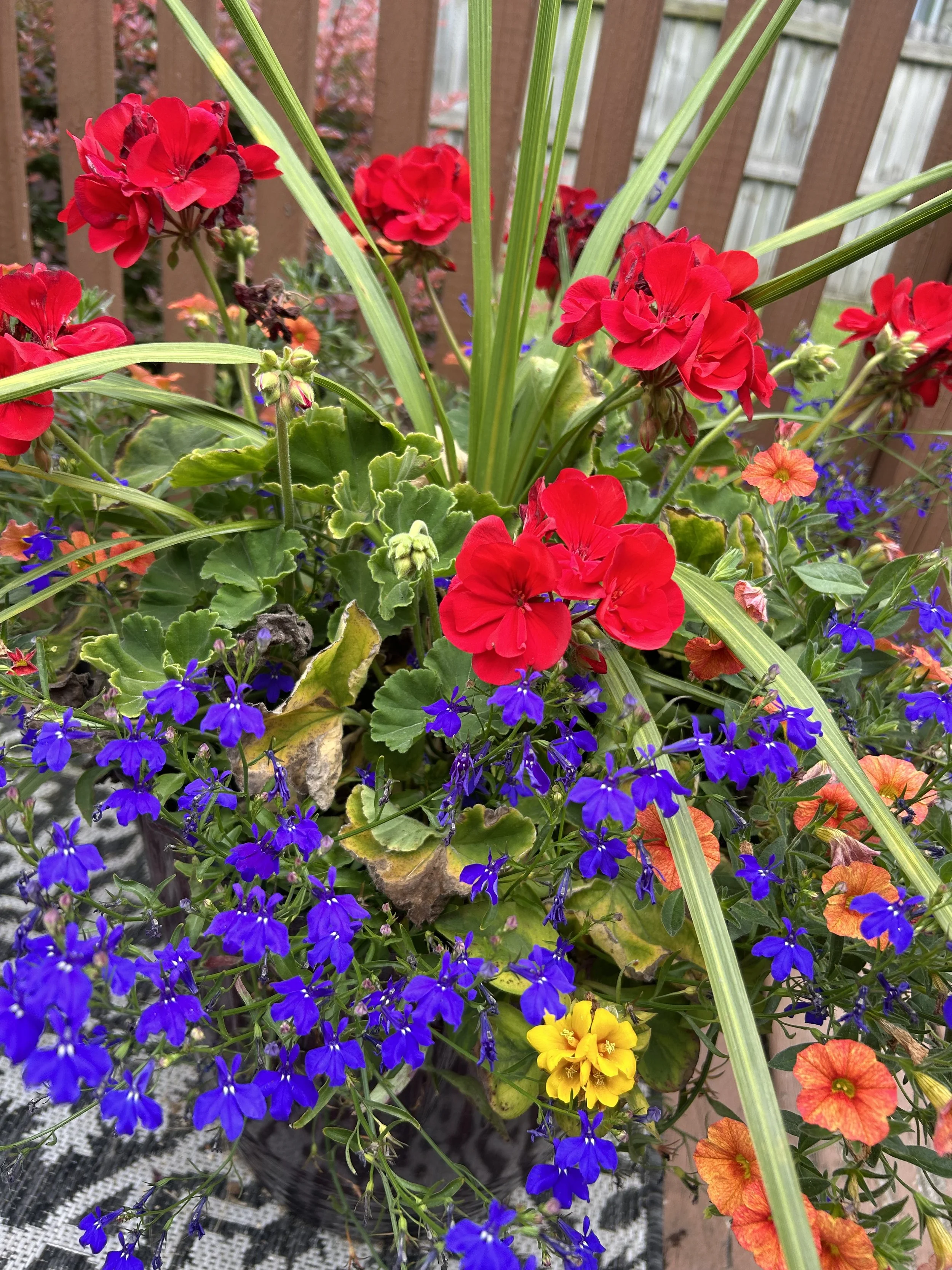 IMG_5887.jpeg