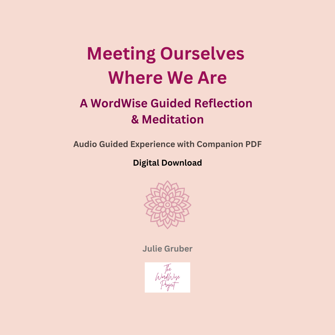 Meeting Ourselves Where We Are.png