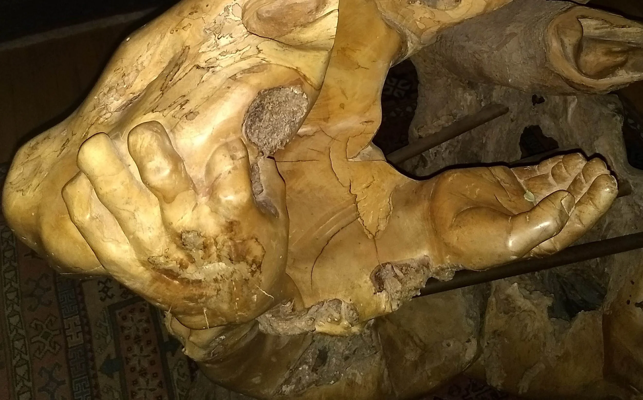 KOSCHEY (HANDS) Big Leaf Maple