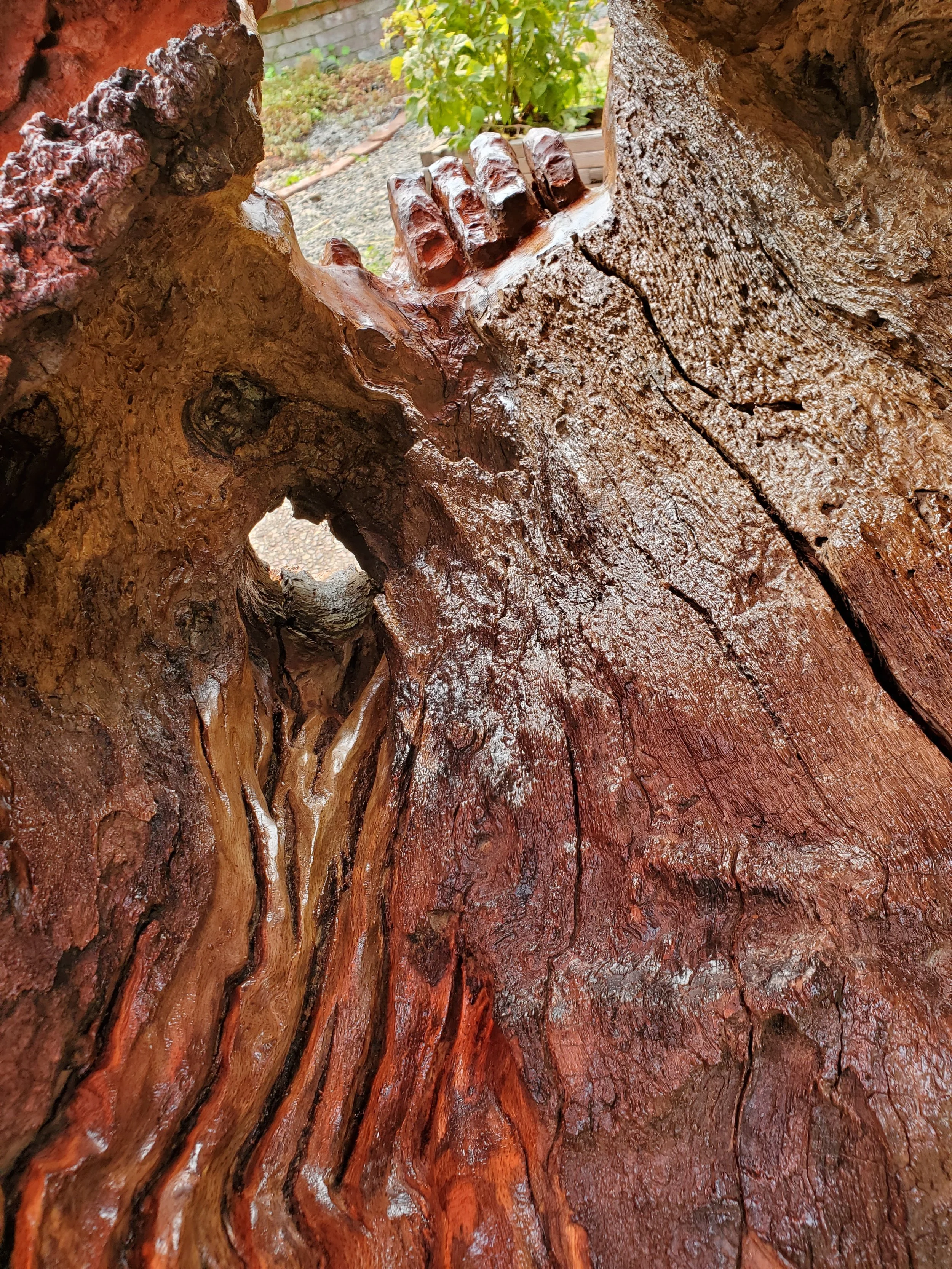 The Eternal Feminine 3 1/2 ft X 2 ft  Redwood