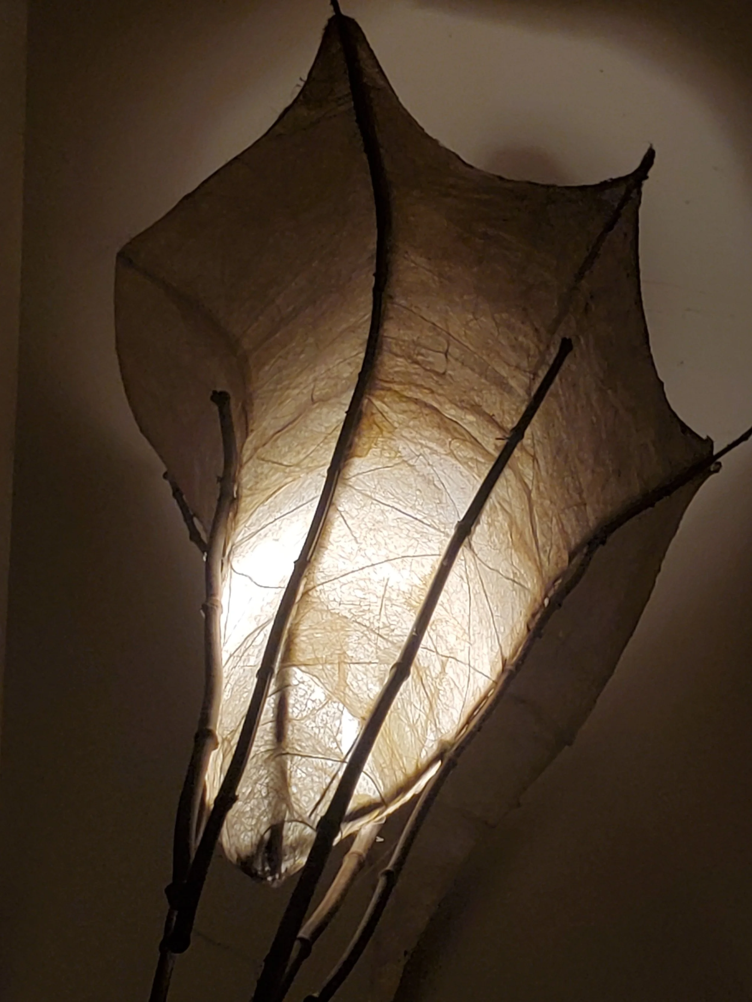 CIELING LIGHTS wire frame, Tibetan rice paper, black bamboo.