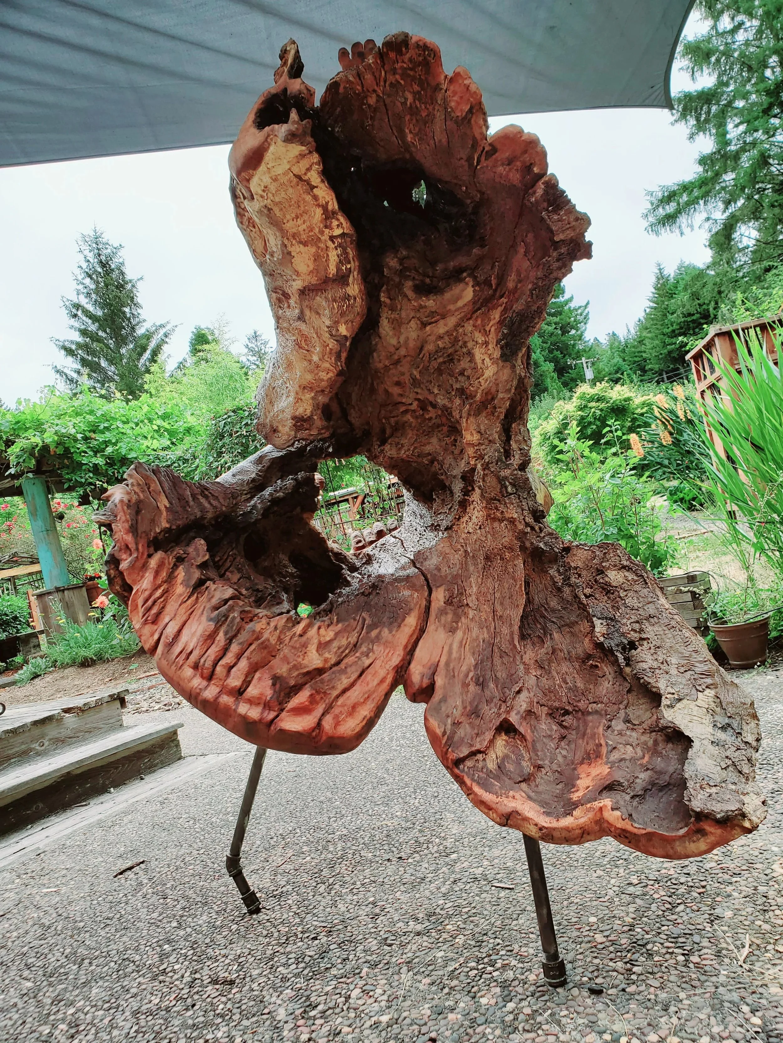 natural oak wood carved sculpture