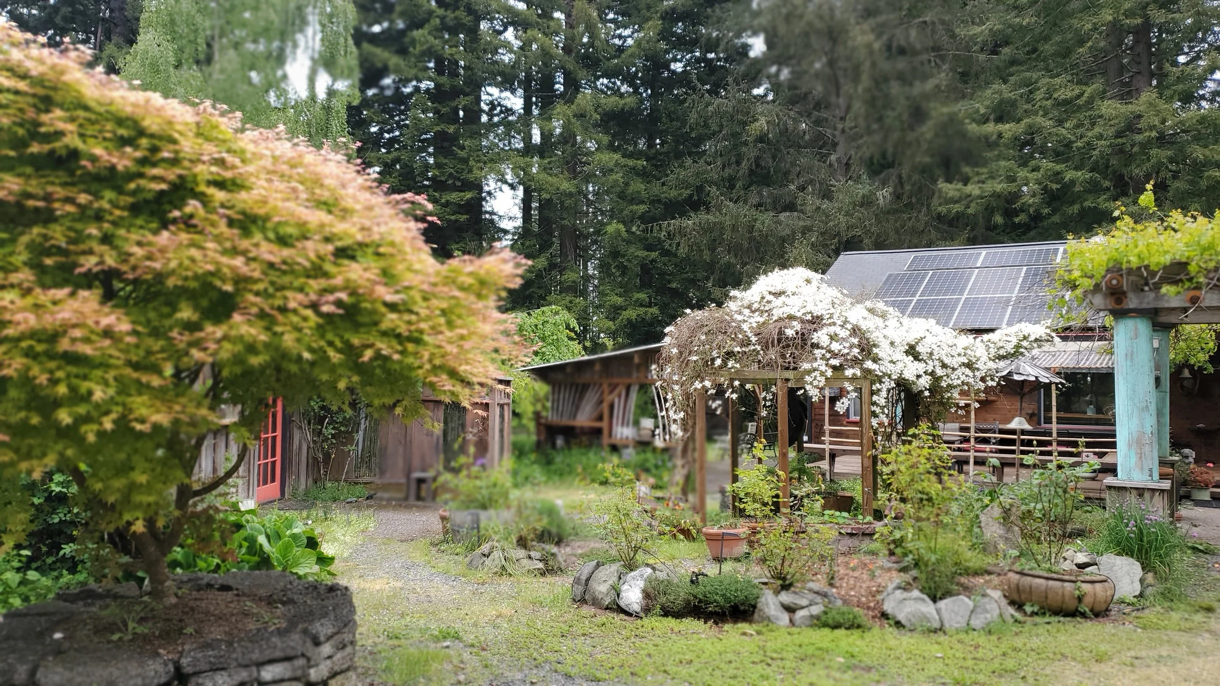 grounds